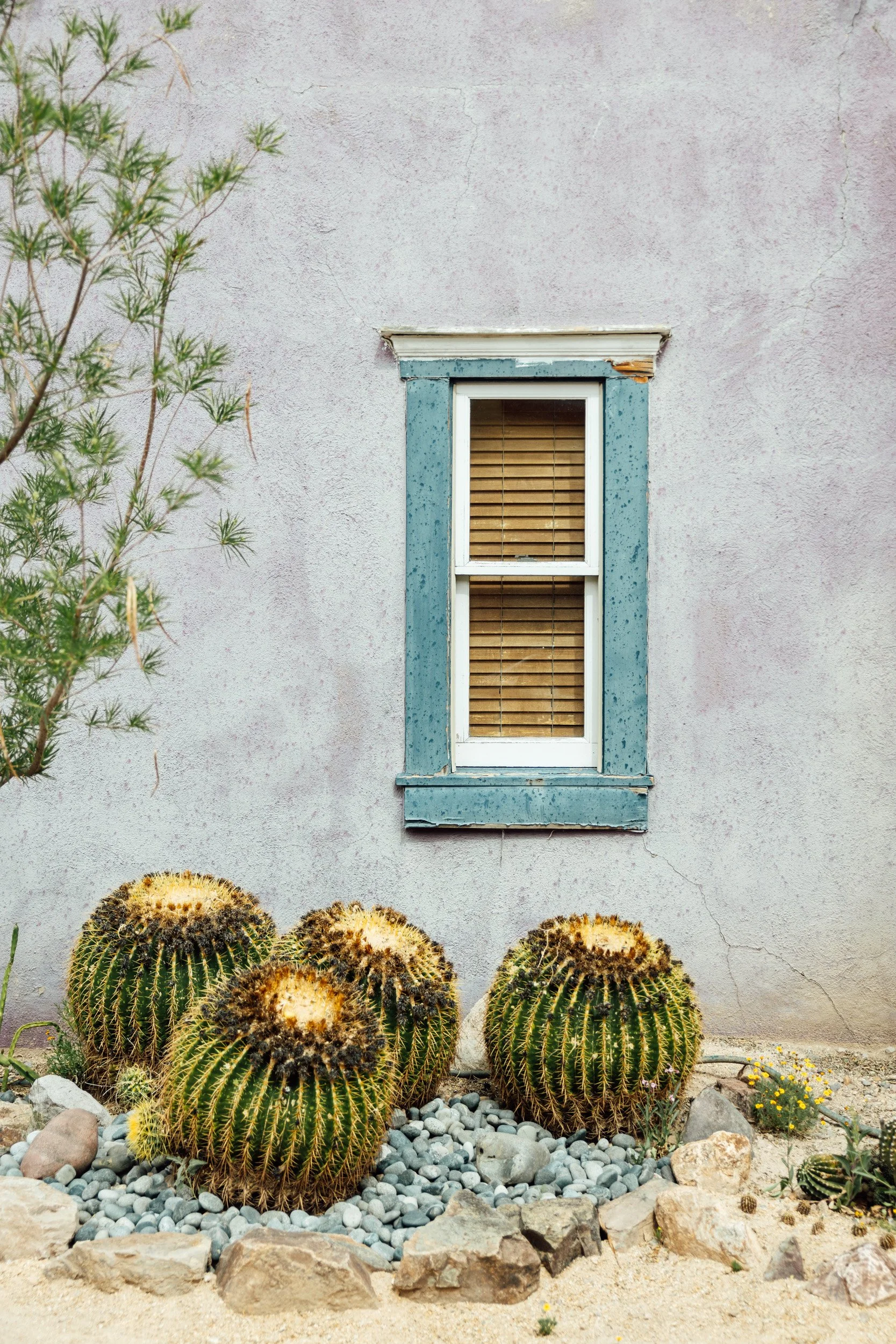 tucson-20.jpg