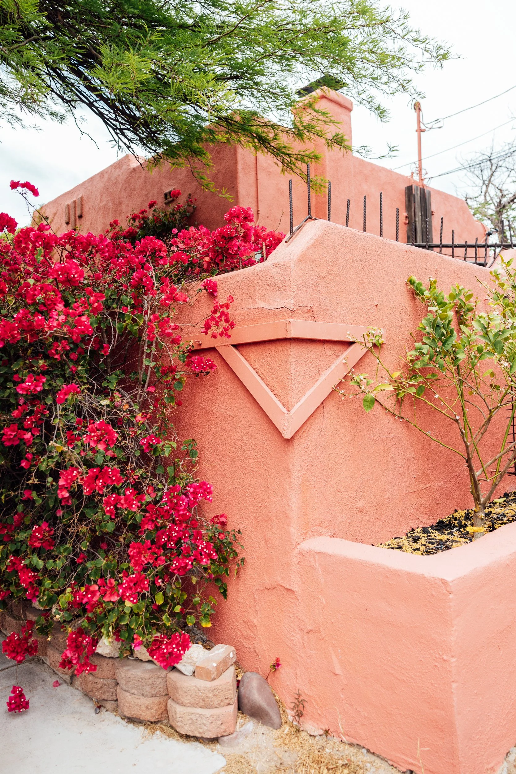 tucson-10.jpg