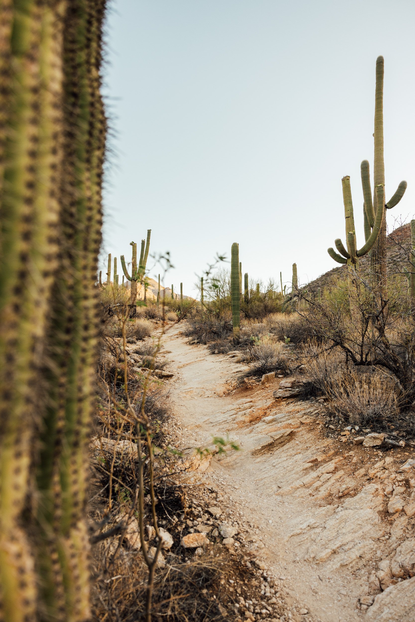 tucson-58.jpg