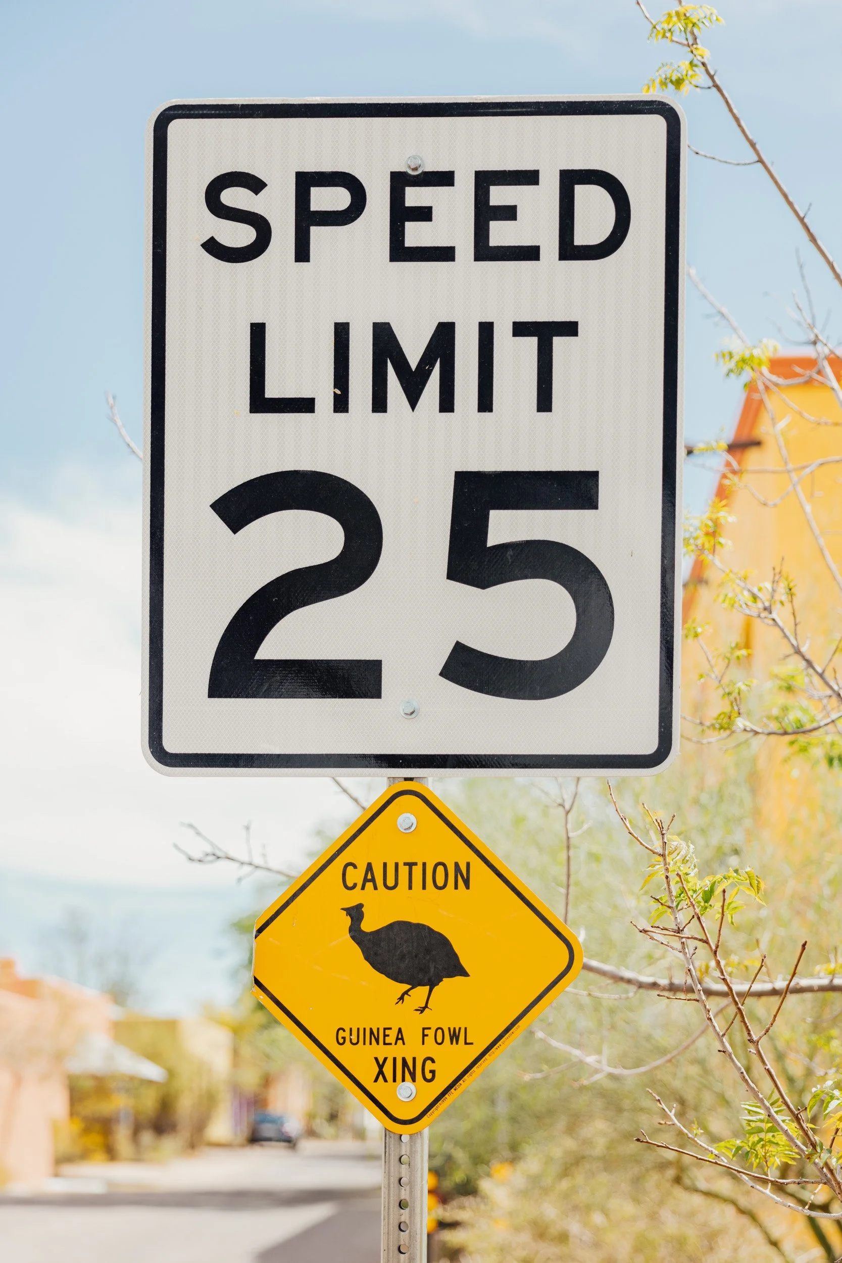 tucson-18.jpg