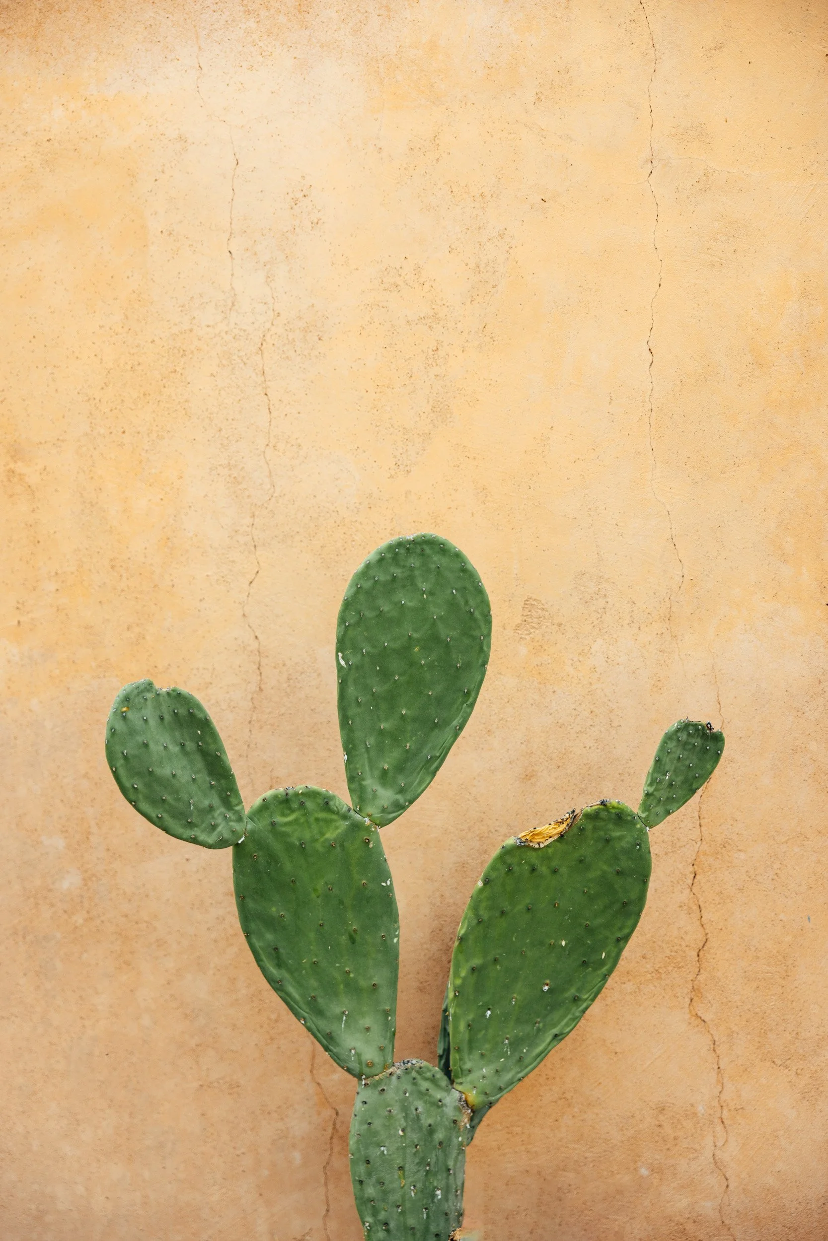 tucson-19.jpg