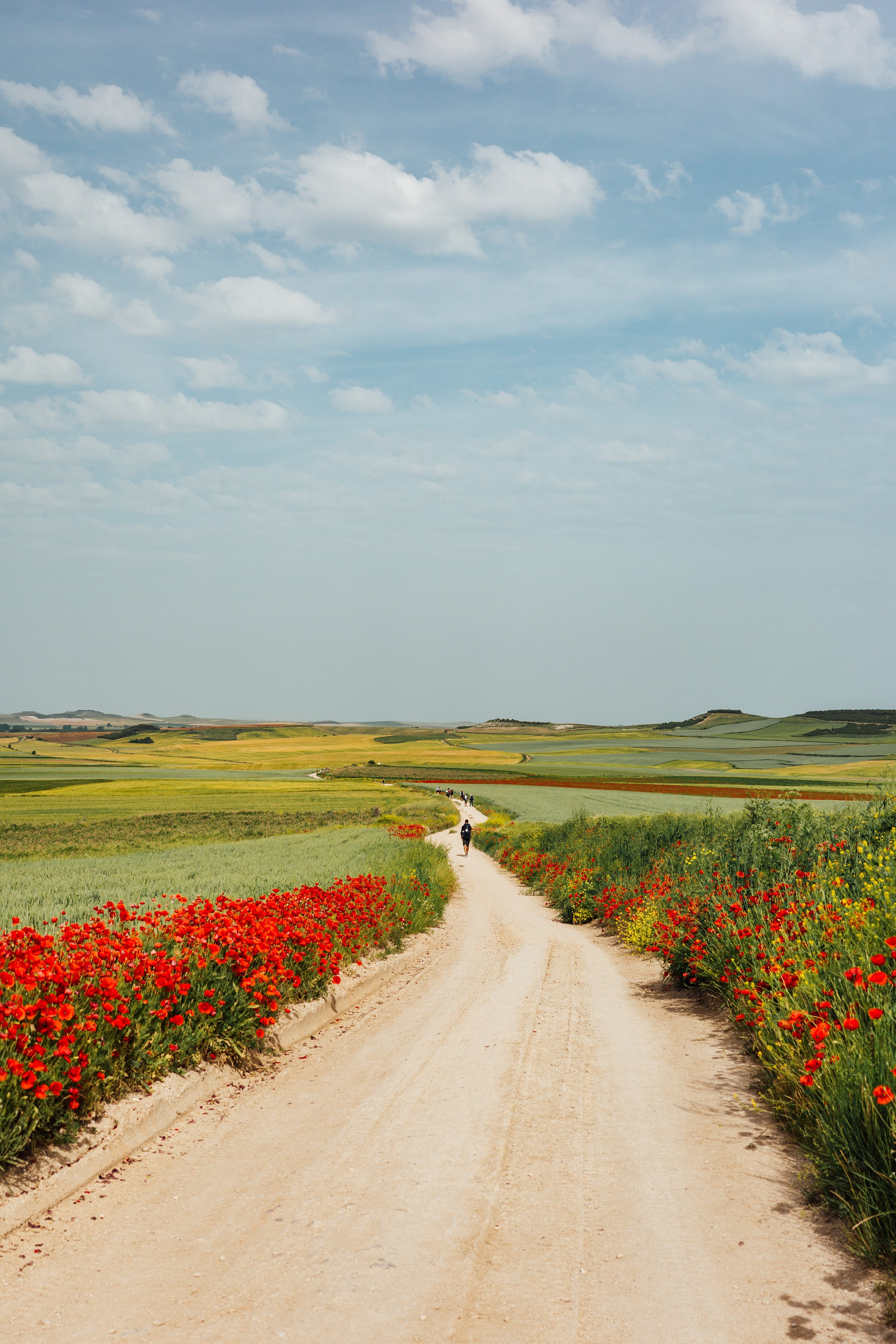 camino.print-3.jpg