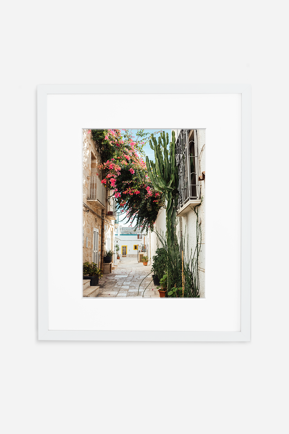 Bougainvillea Delight