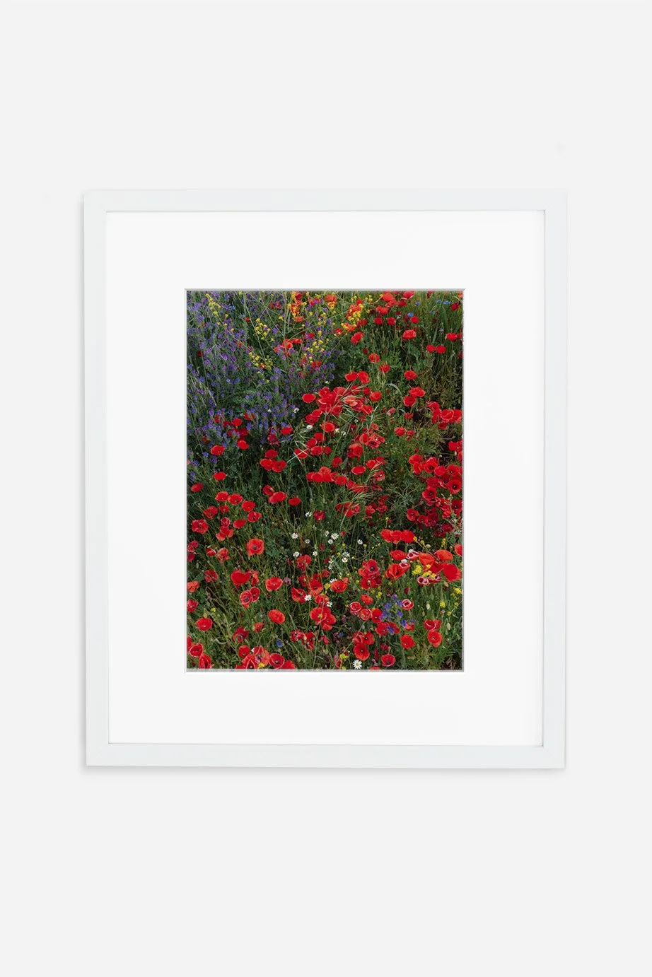 Camino Flower Confetti