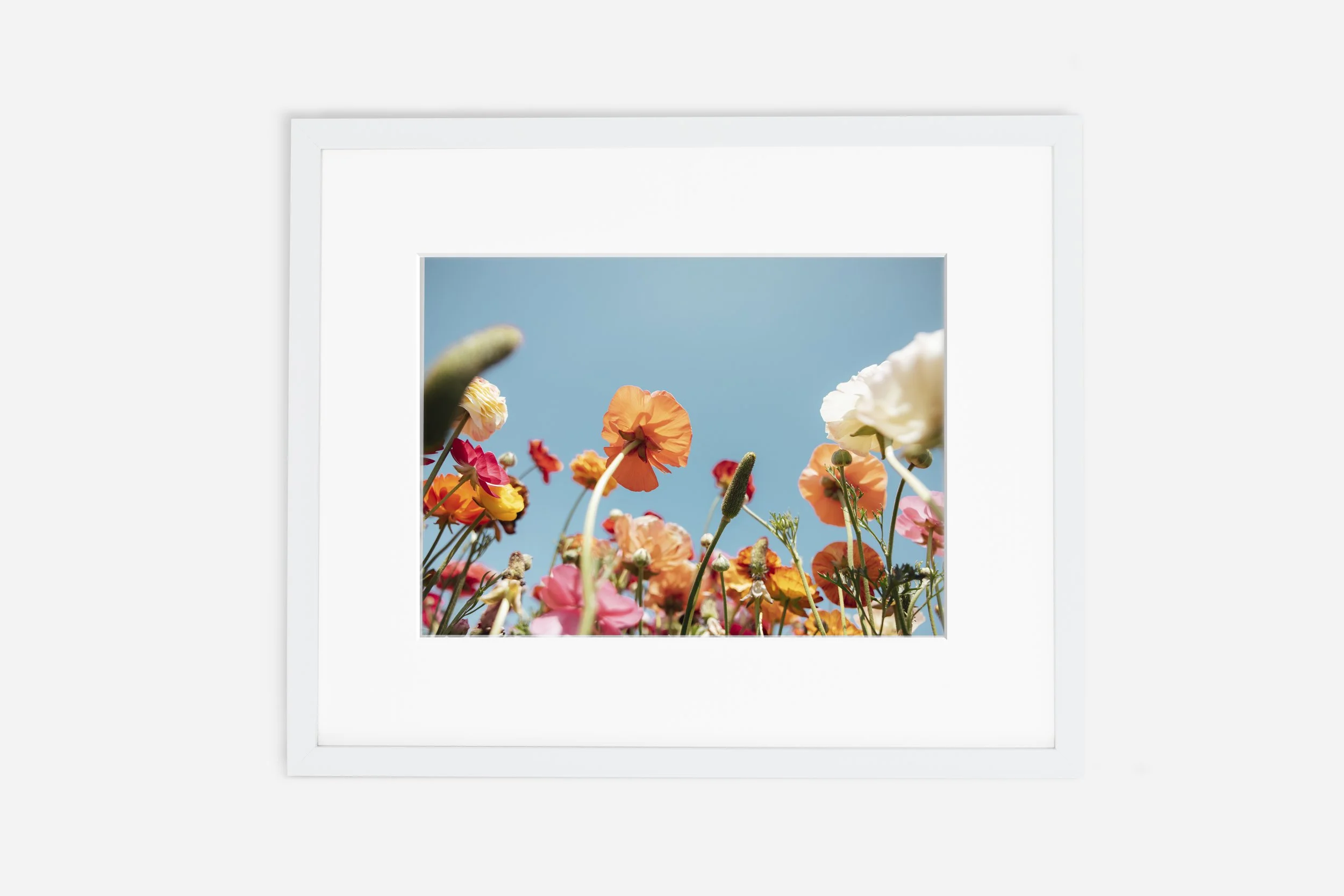 Floral Confetti
