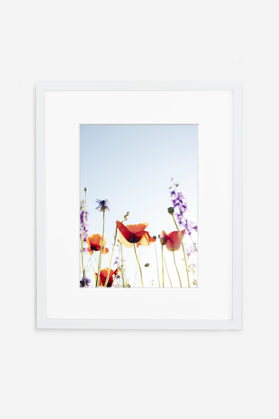 Texas Blooms