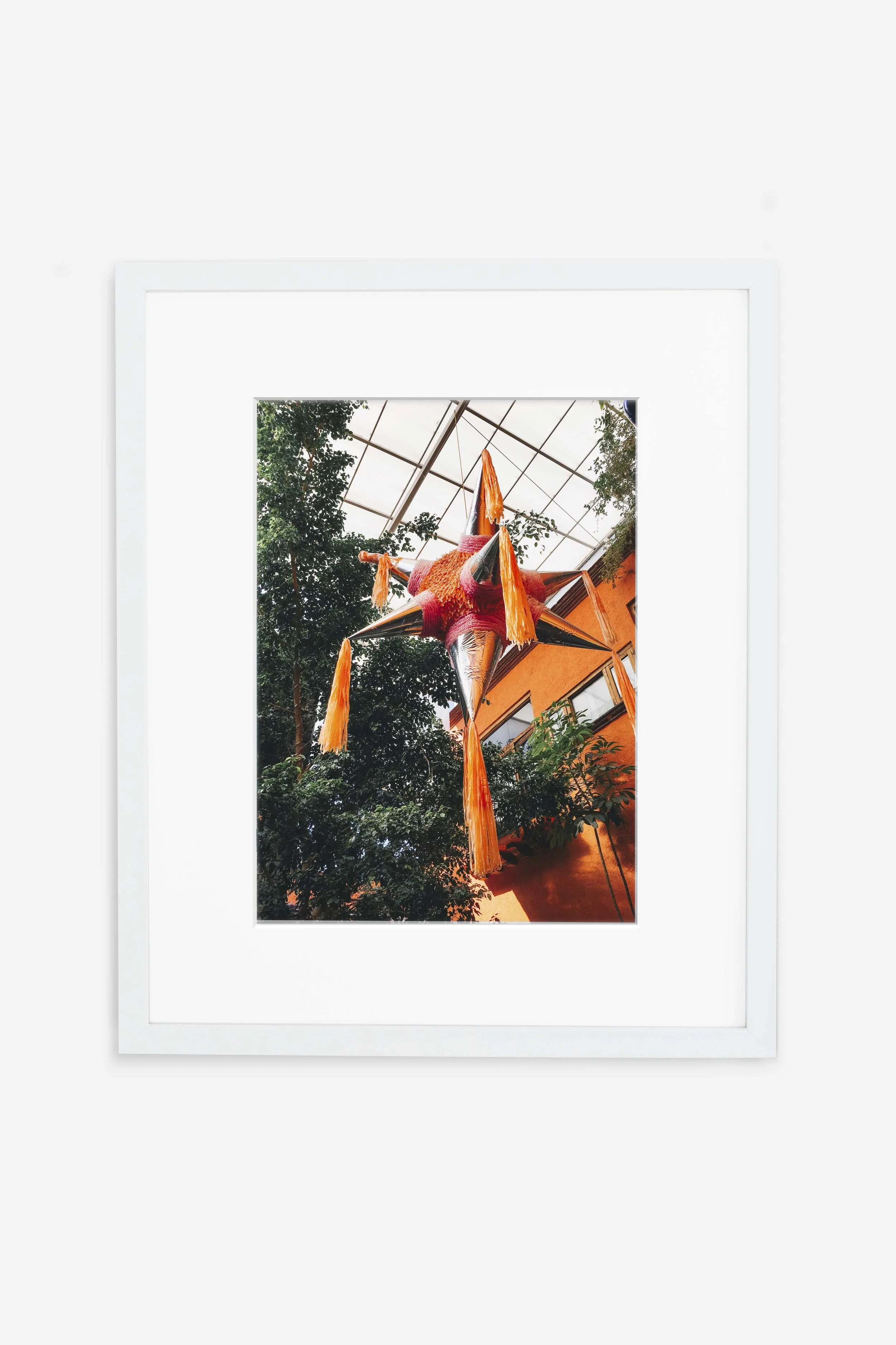 Piñata Party