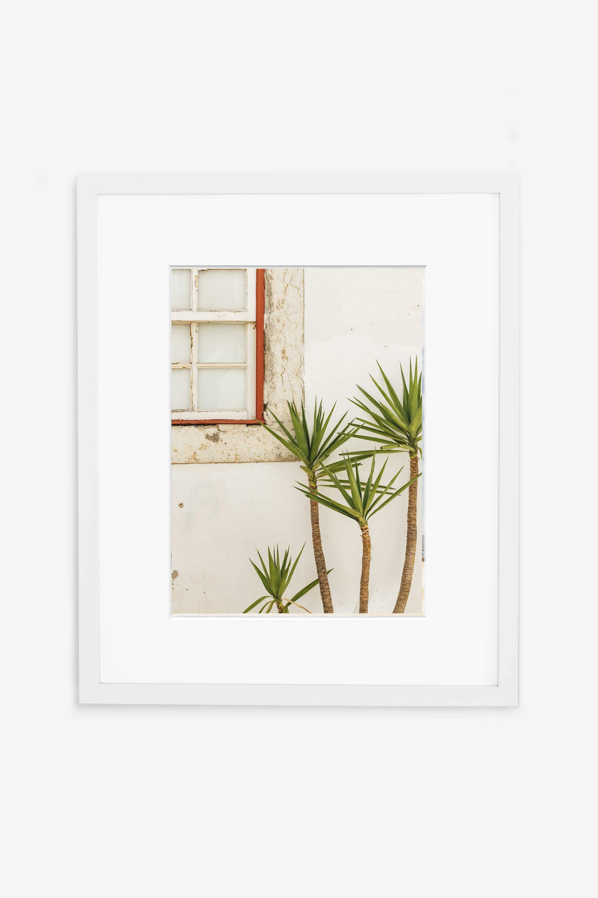 The Portuguese Plants