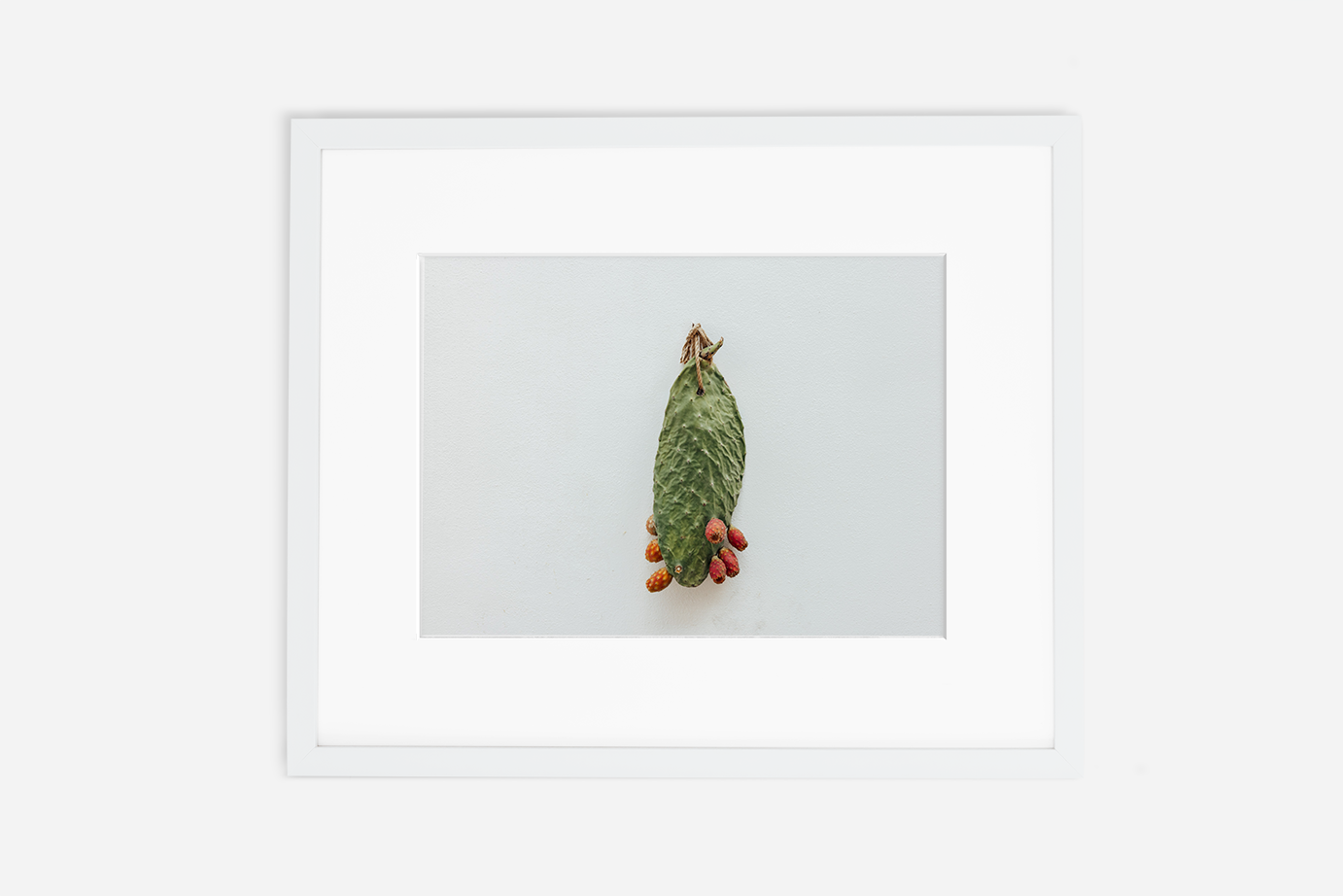 Puglia Prickly Pear