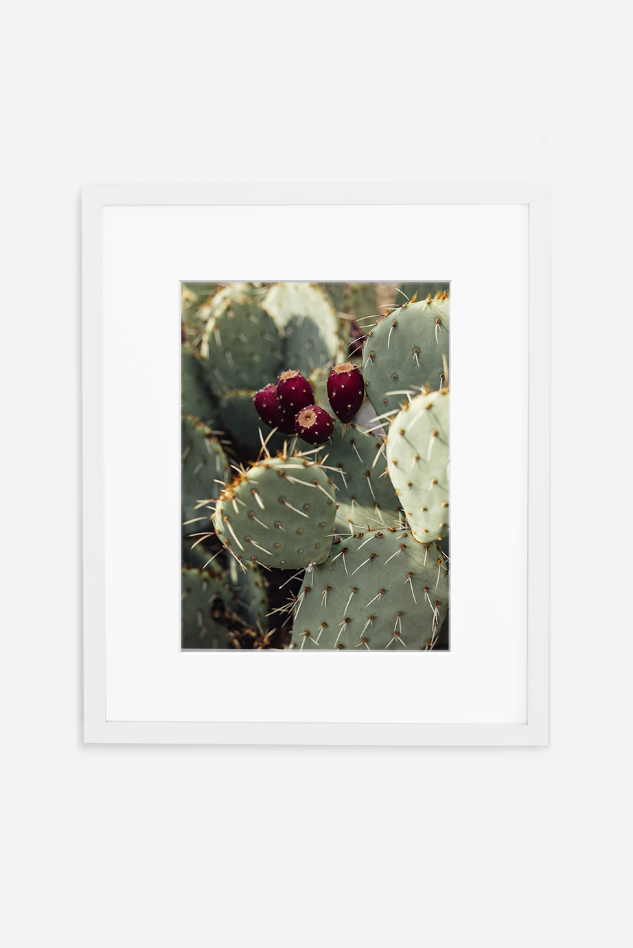 Prickly Pear