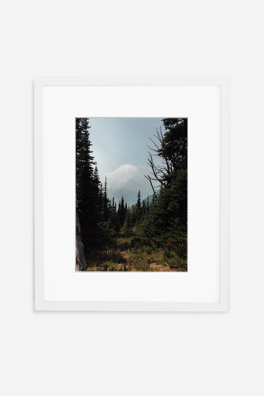 Rainier Haze
