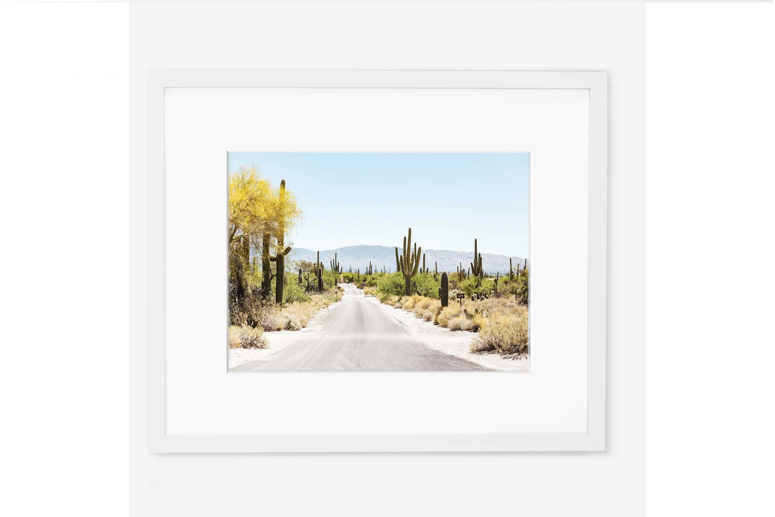 Saguaro Way