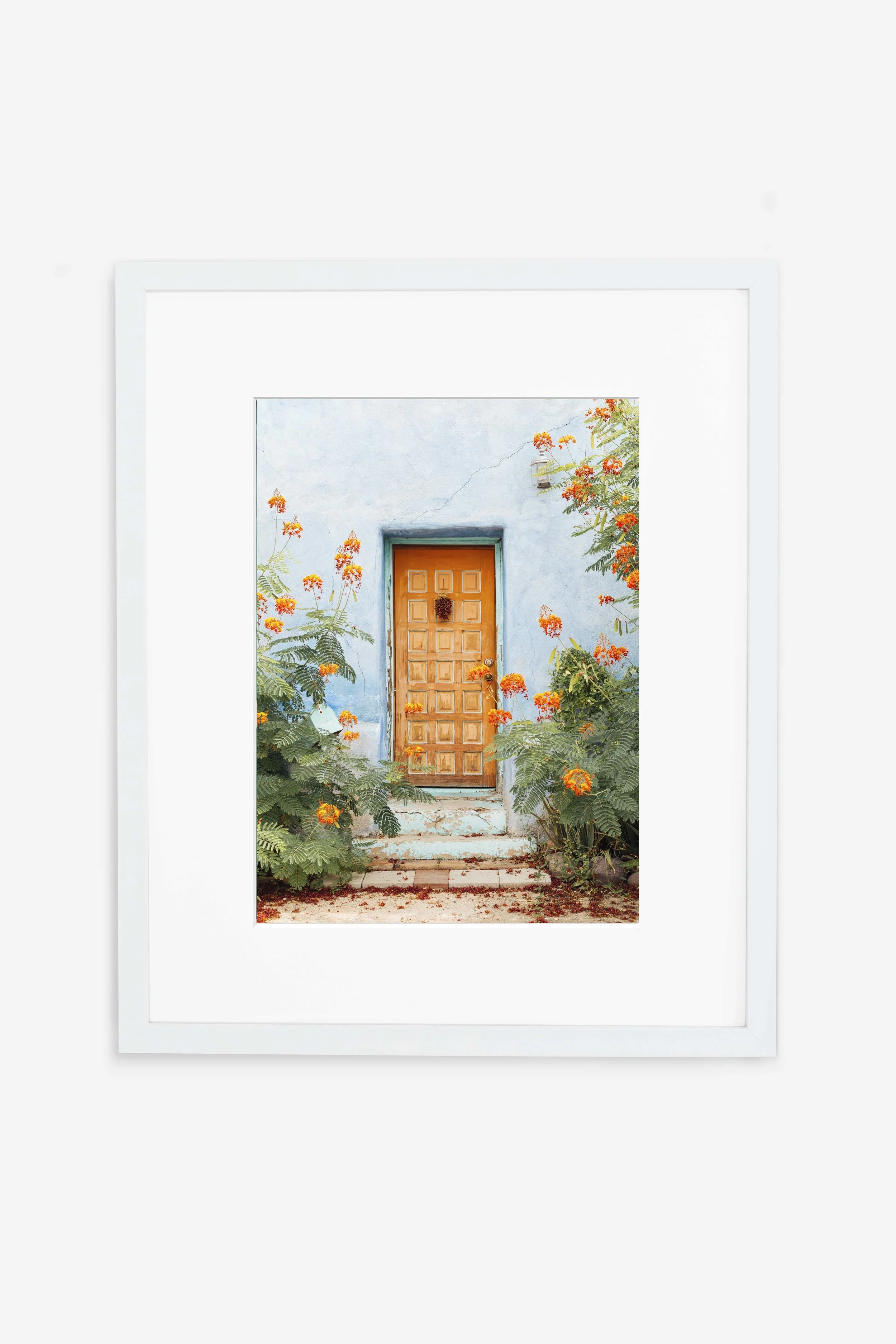 Desert Door