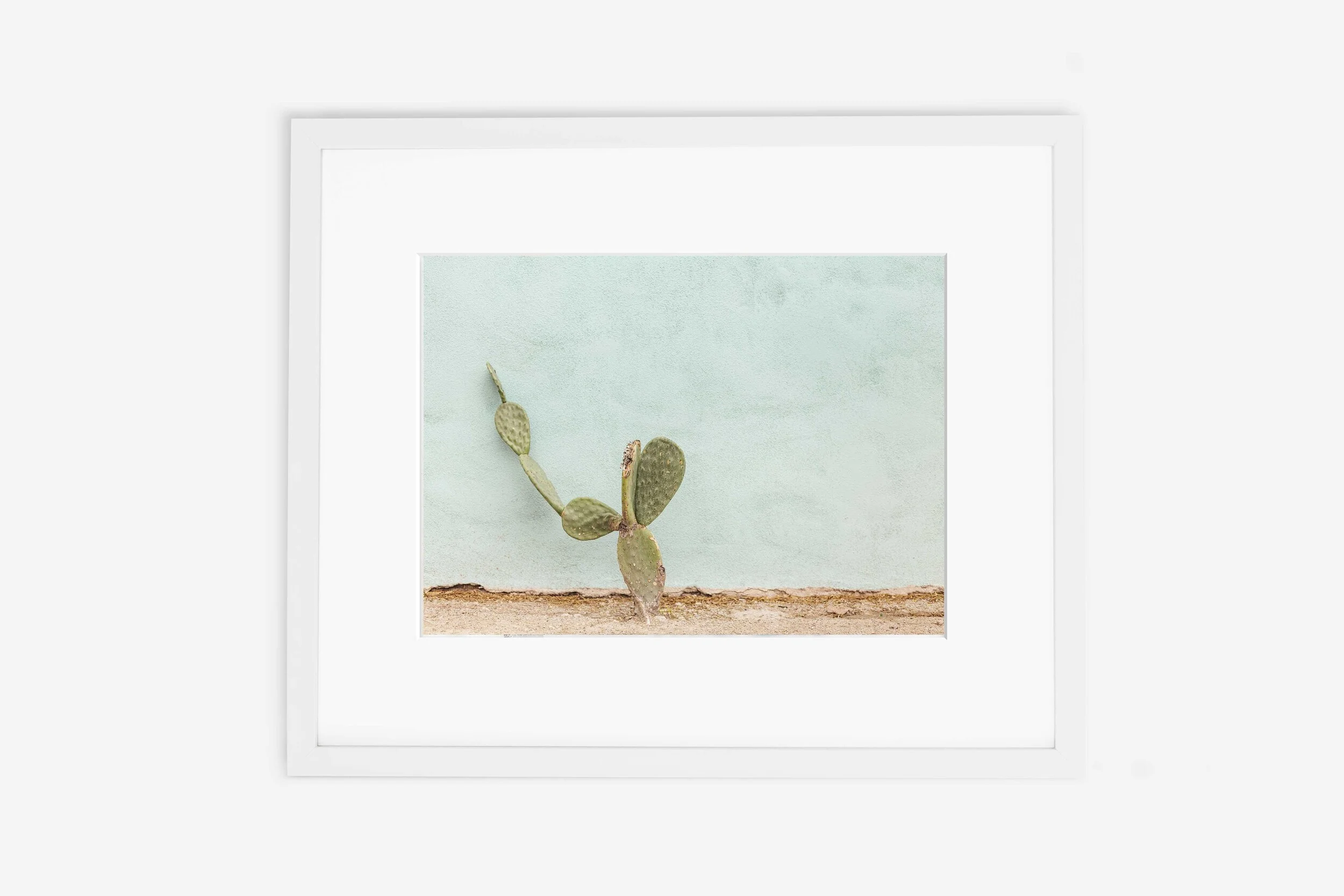 The Lone Cactus