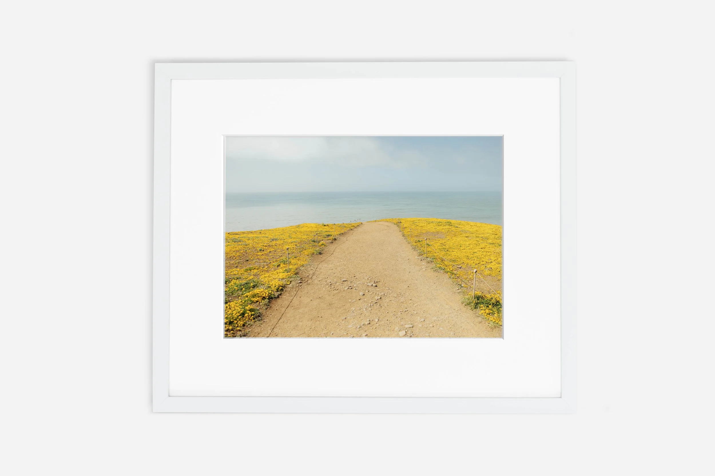 The Yellow Flower Road