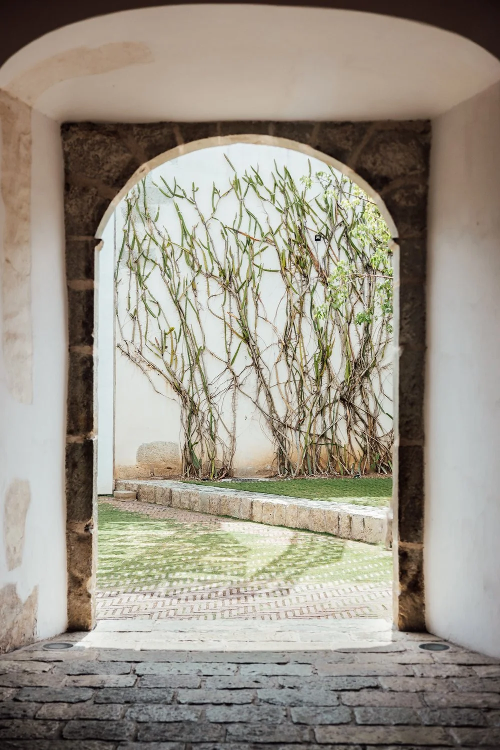 oaxaca-16.jpg