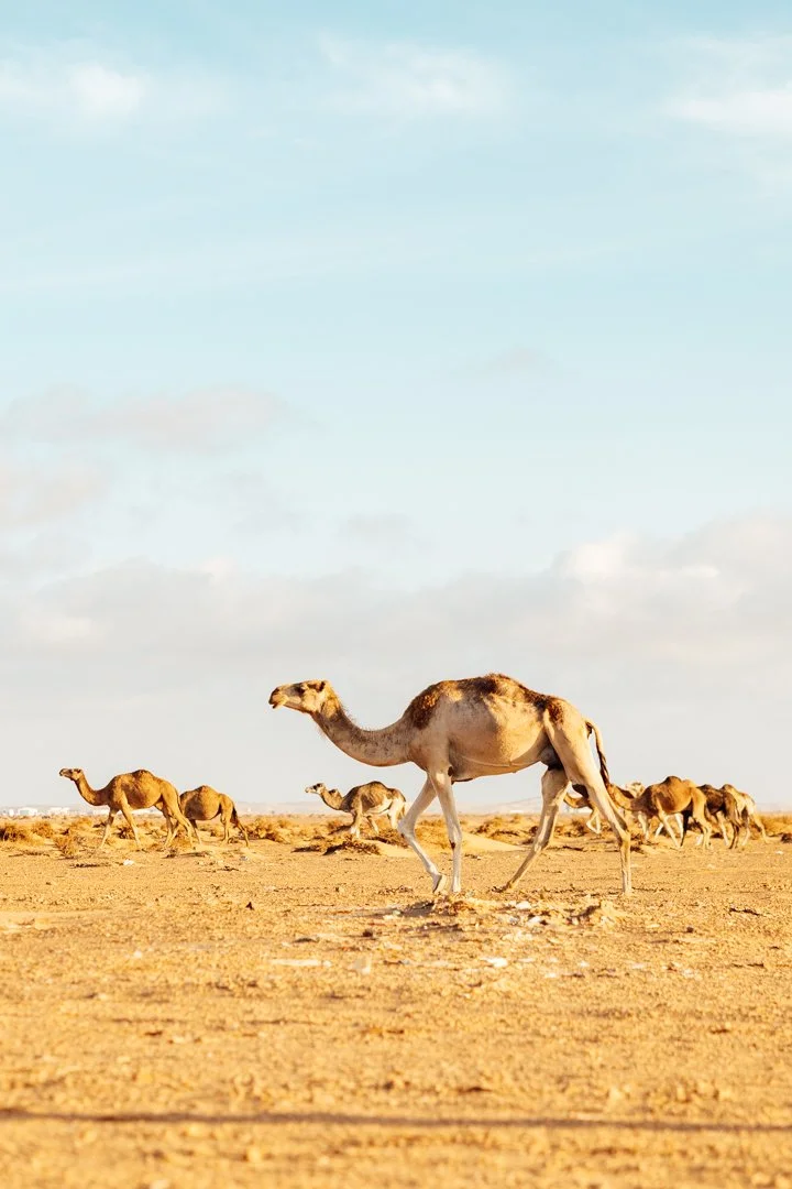 morocco-162.jpg