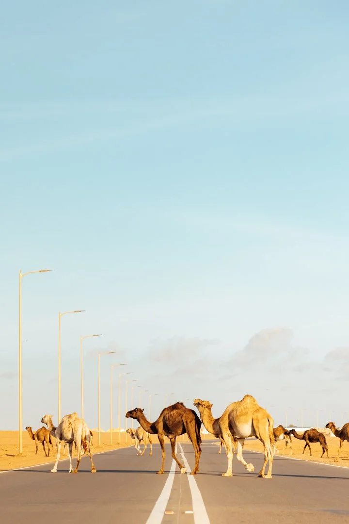 morocco-163.jpg