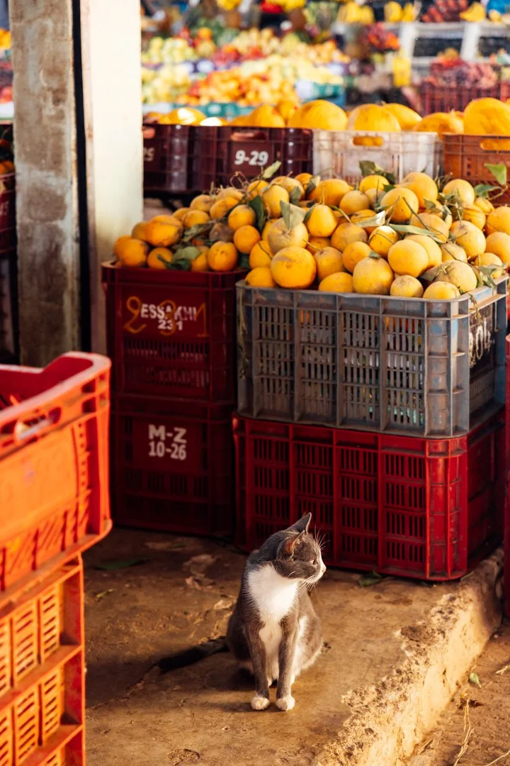 morocco-153.jpg