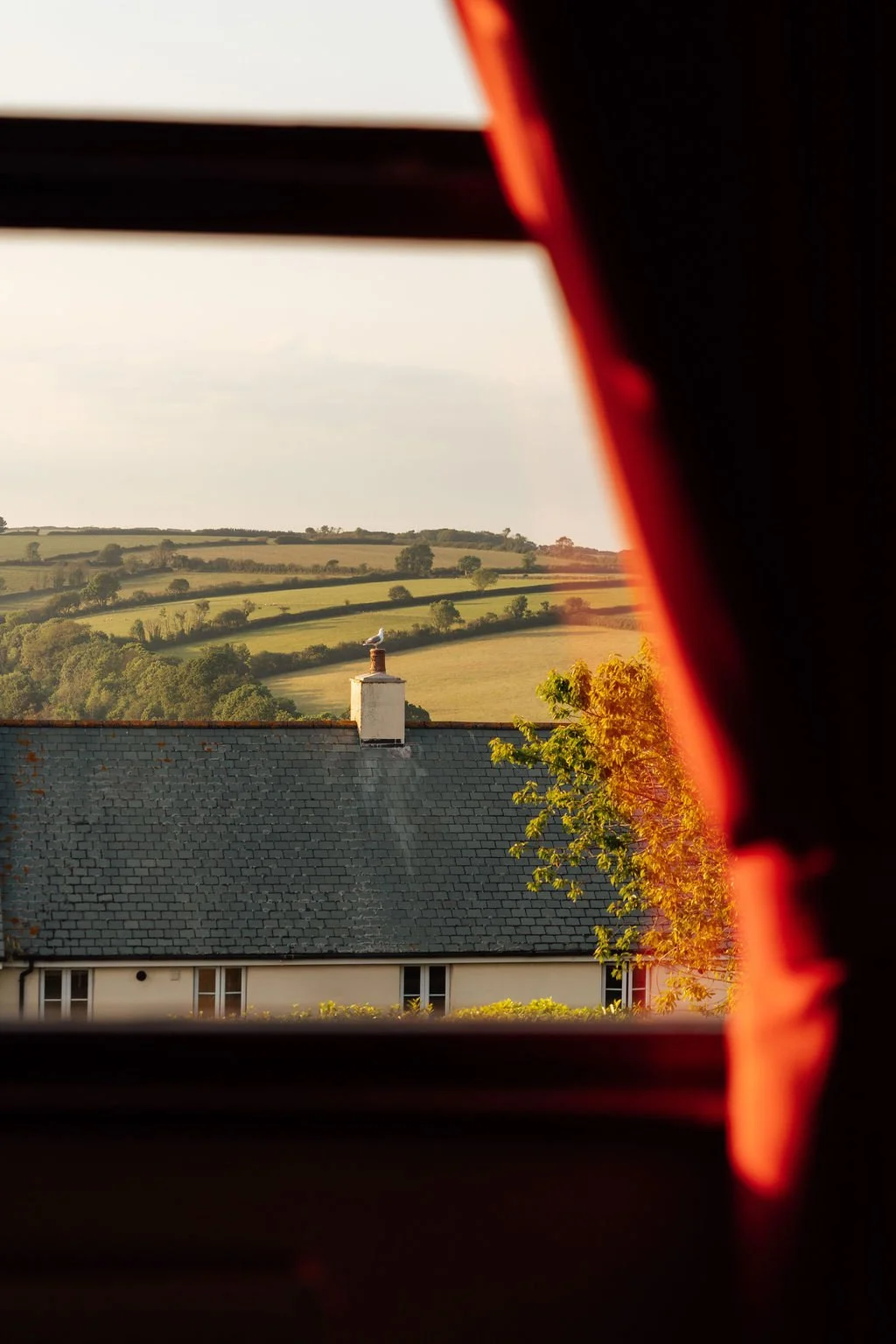 26.05.cornwall.erica.connolly-29.jpg