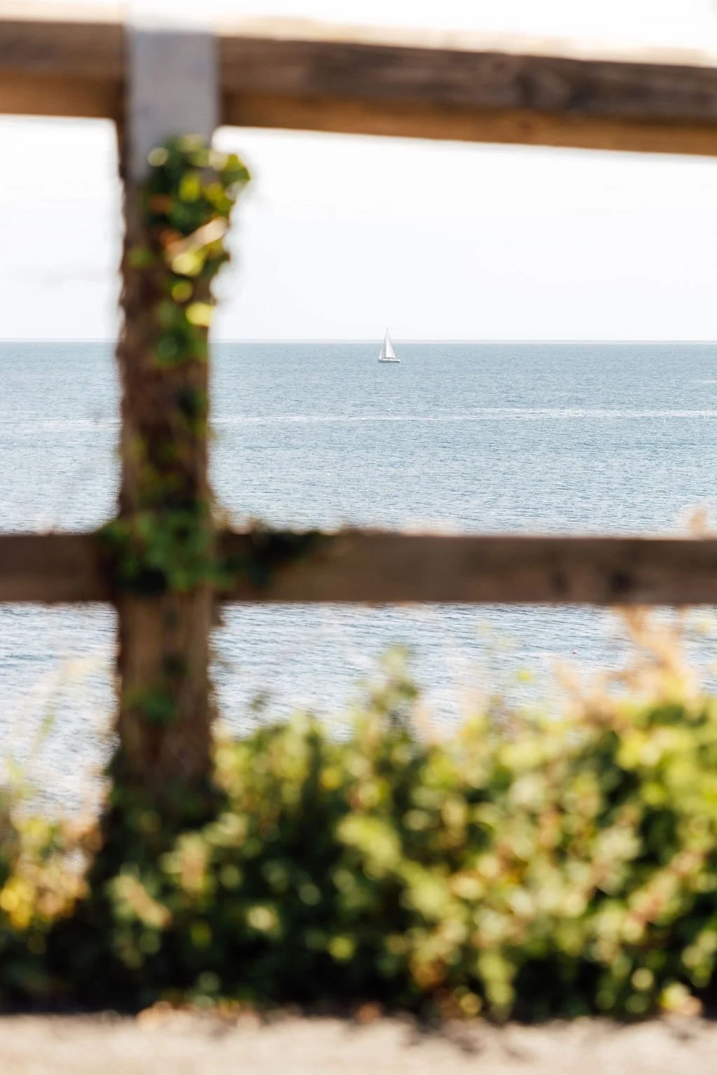 26.05.cornwall.erica.connolly-116.jpg