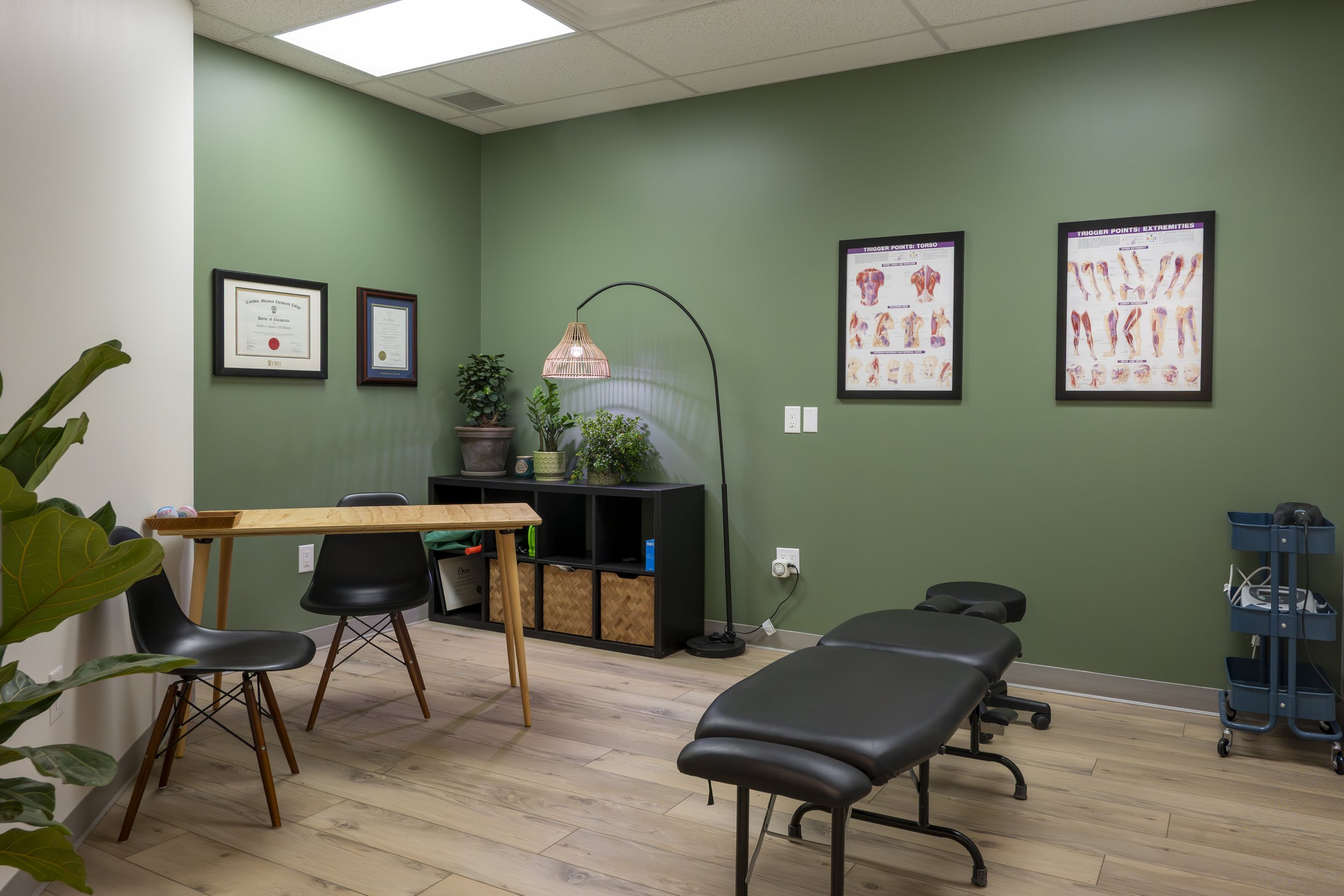 A Chiropractic exam room with green walls, black chairs, a wooden table, and framed informational posters on anatomy. There are potted plants, a lamp, and medical equipment.