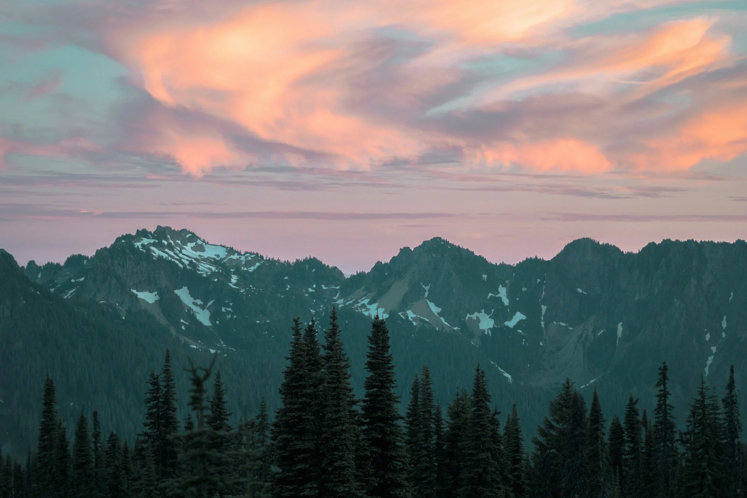 Snow-capped mountain peaks against a pink and blue sky with wispy clouds, evergreen trees in the foreground.