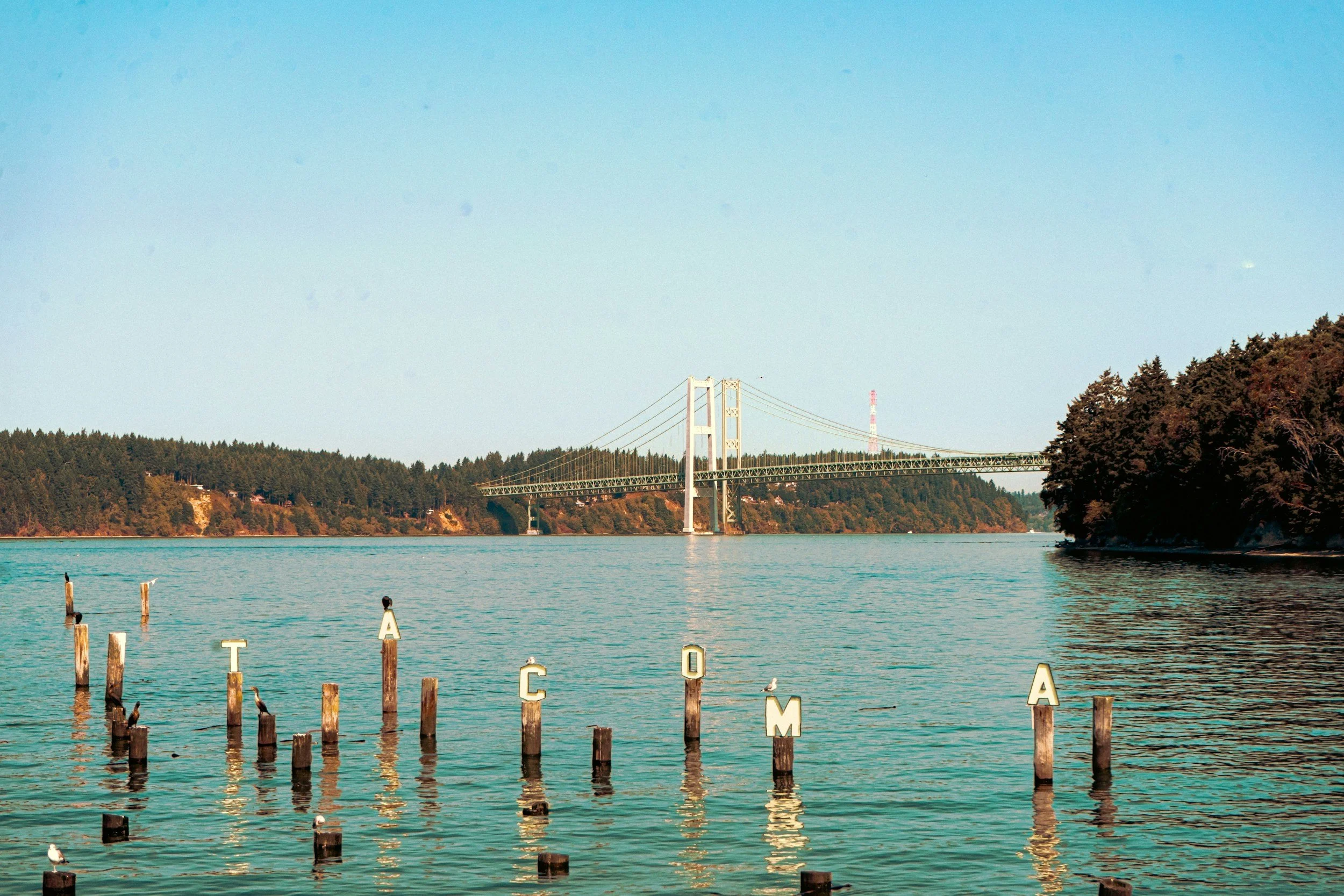 A large body of water with wooden posts and seagulls, a bridge with towers crossing over, and a hillside with trees and buildings under a blue sky.