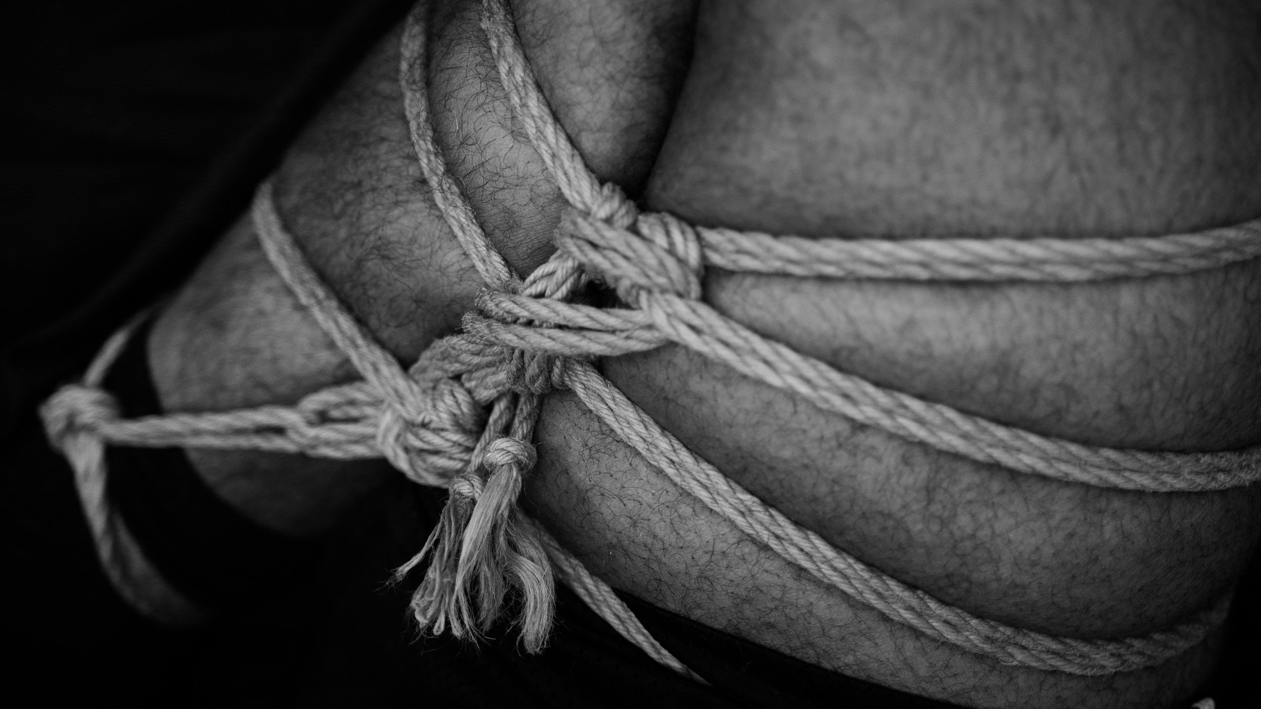 Close-up black and white photo of a person's body tightly wrapped with multiple knots of thick rope.