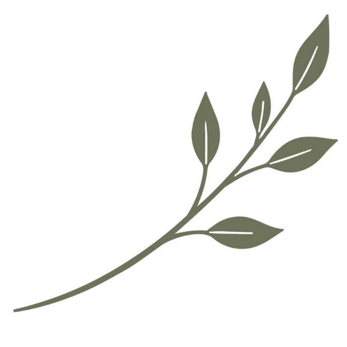 A simple illustration of a green sprig with multiple leaves on a black background.