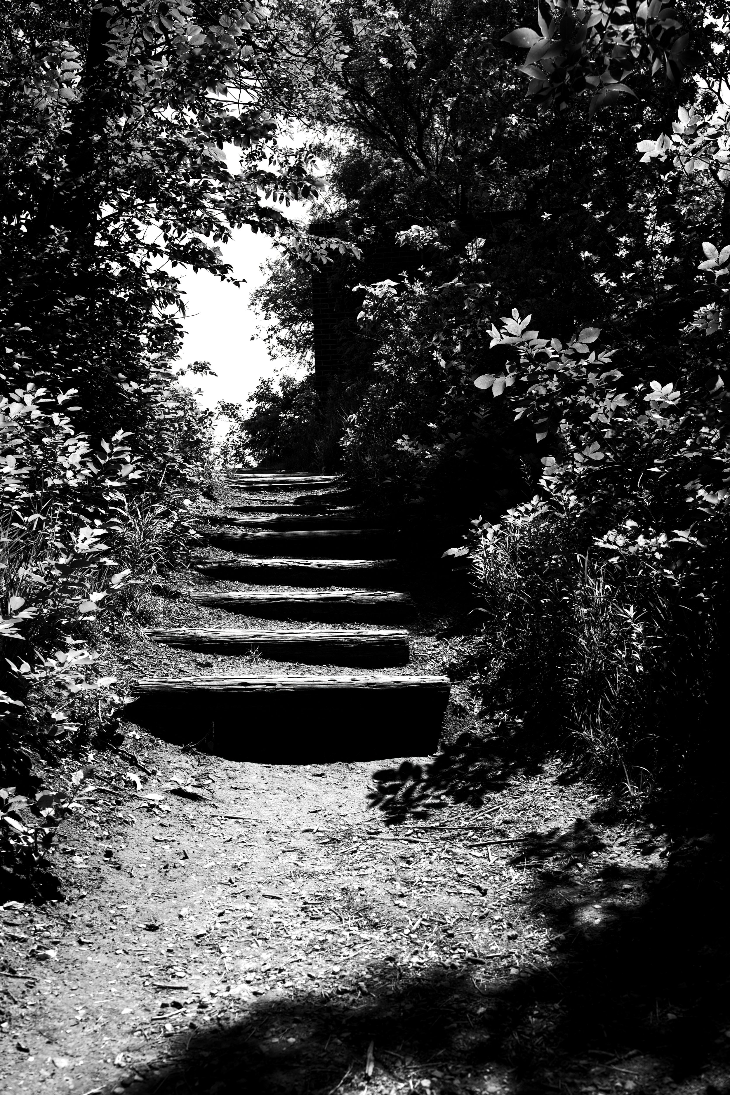 DSC_0725MONOCHROMNE.jpg