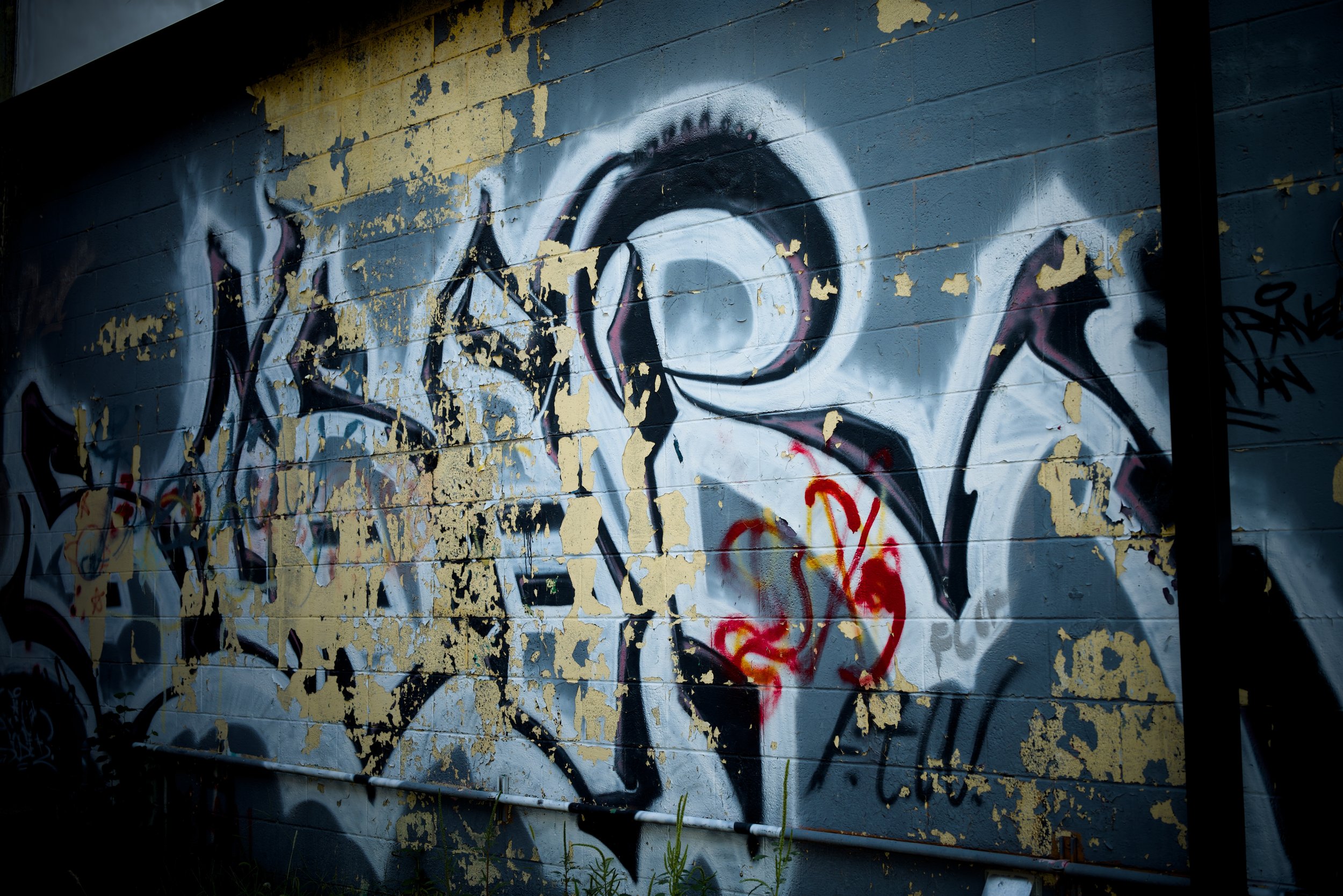 DSC_18422.jpeg