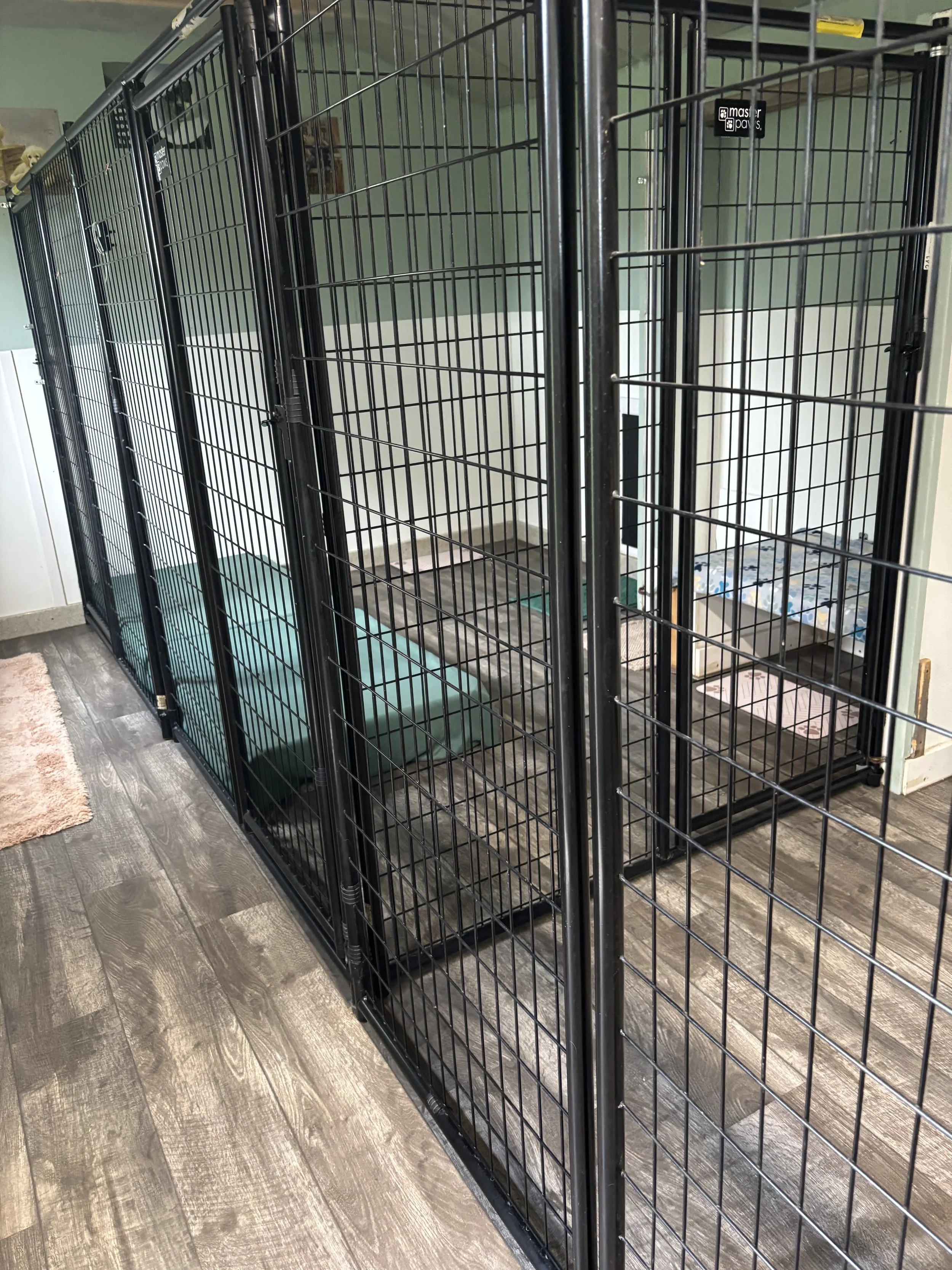 Large indoor boarding enclosure with raised bed prepared for dog's stay at Paws Retreat.