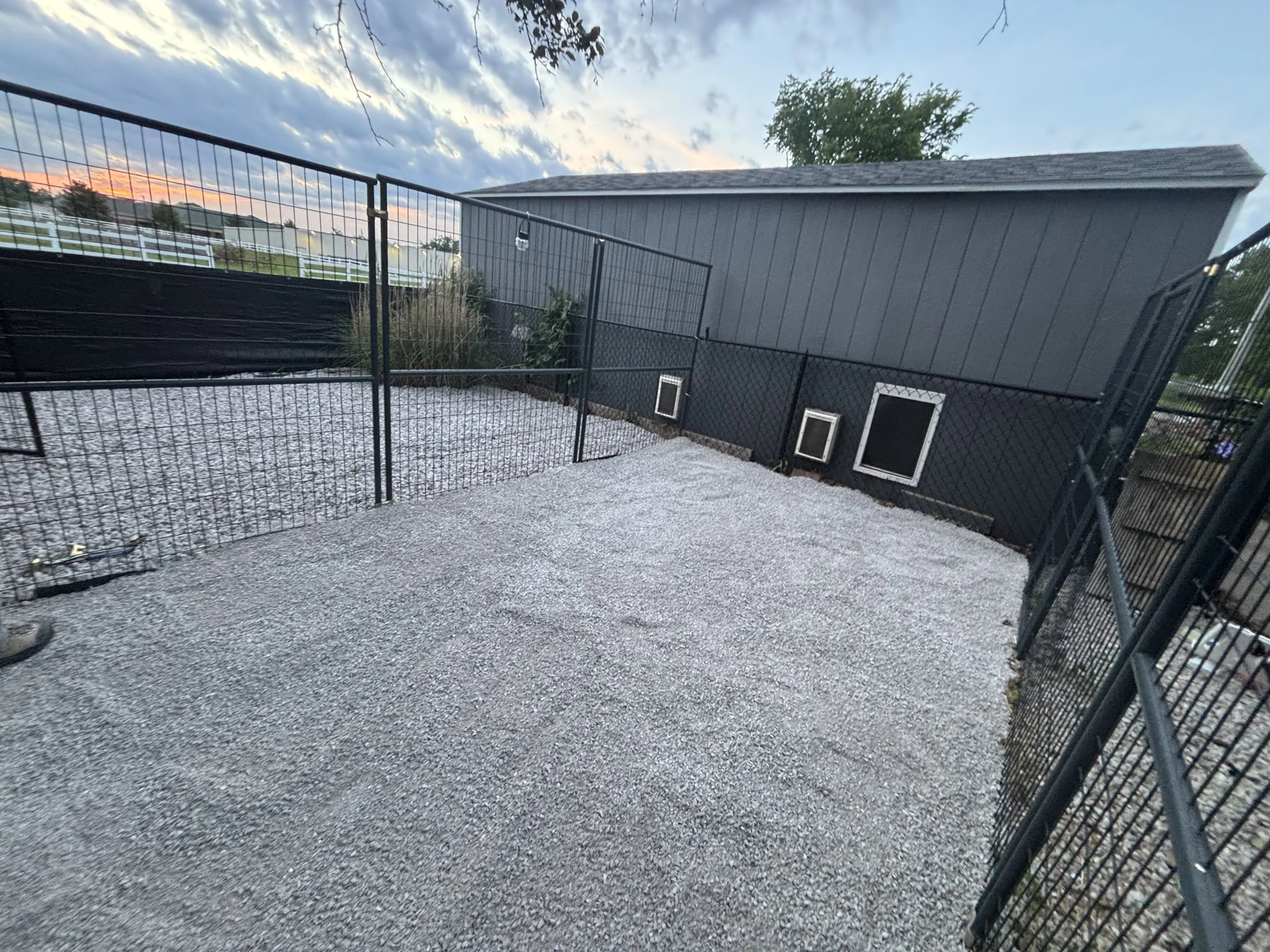Secure private outdoor dog runs connected to the boarding facility at Paws Retreat.