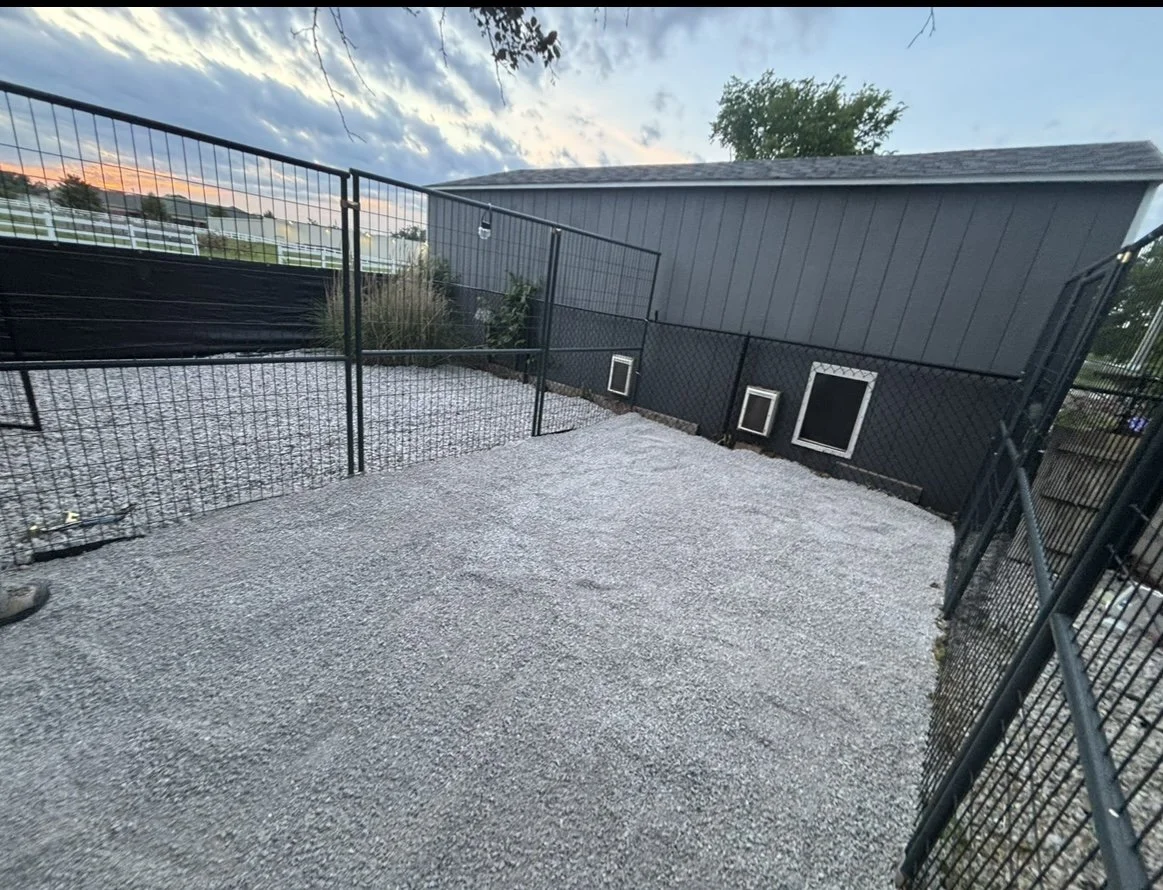 Fenced backyard with gravel ground, black chain-link fencing, and a black building with three pet doors. The sky is partly cloudy during sunset.