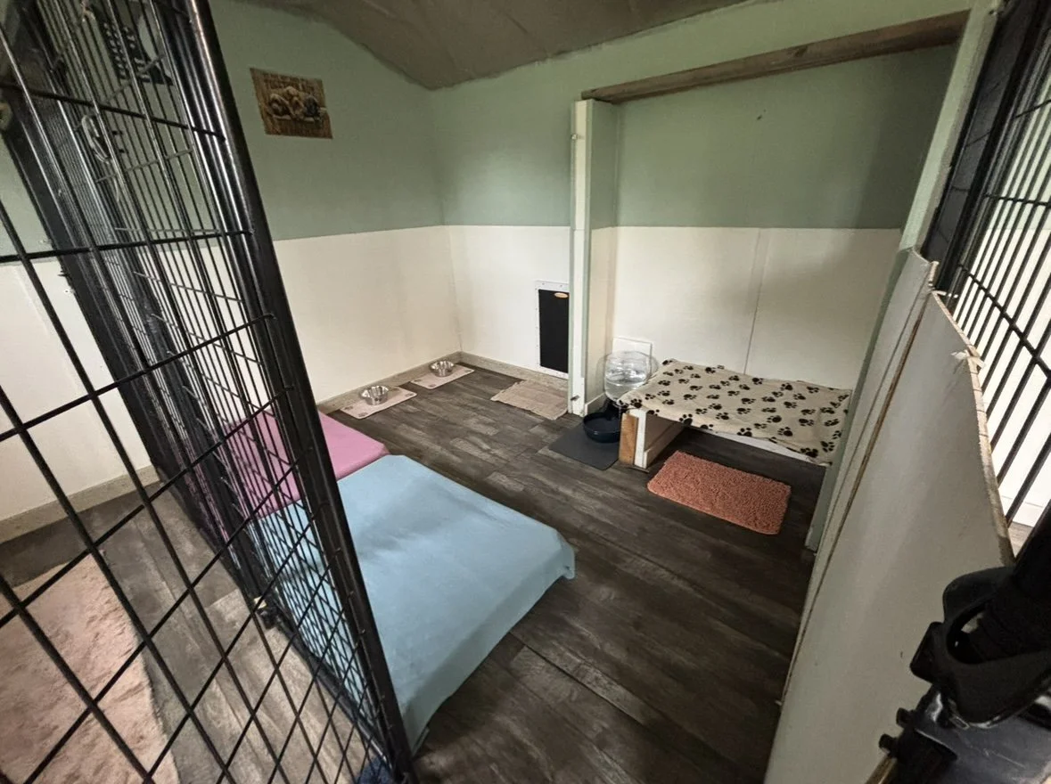 Small pet kennel or crate with two beds, one pink and one blue, inside a room. There are three bowls on a mat near the corner, and a water dispenser on a stand. The room has wooden flooring, light green upper walls, white lower walls, and a small framed picture on the wall.