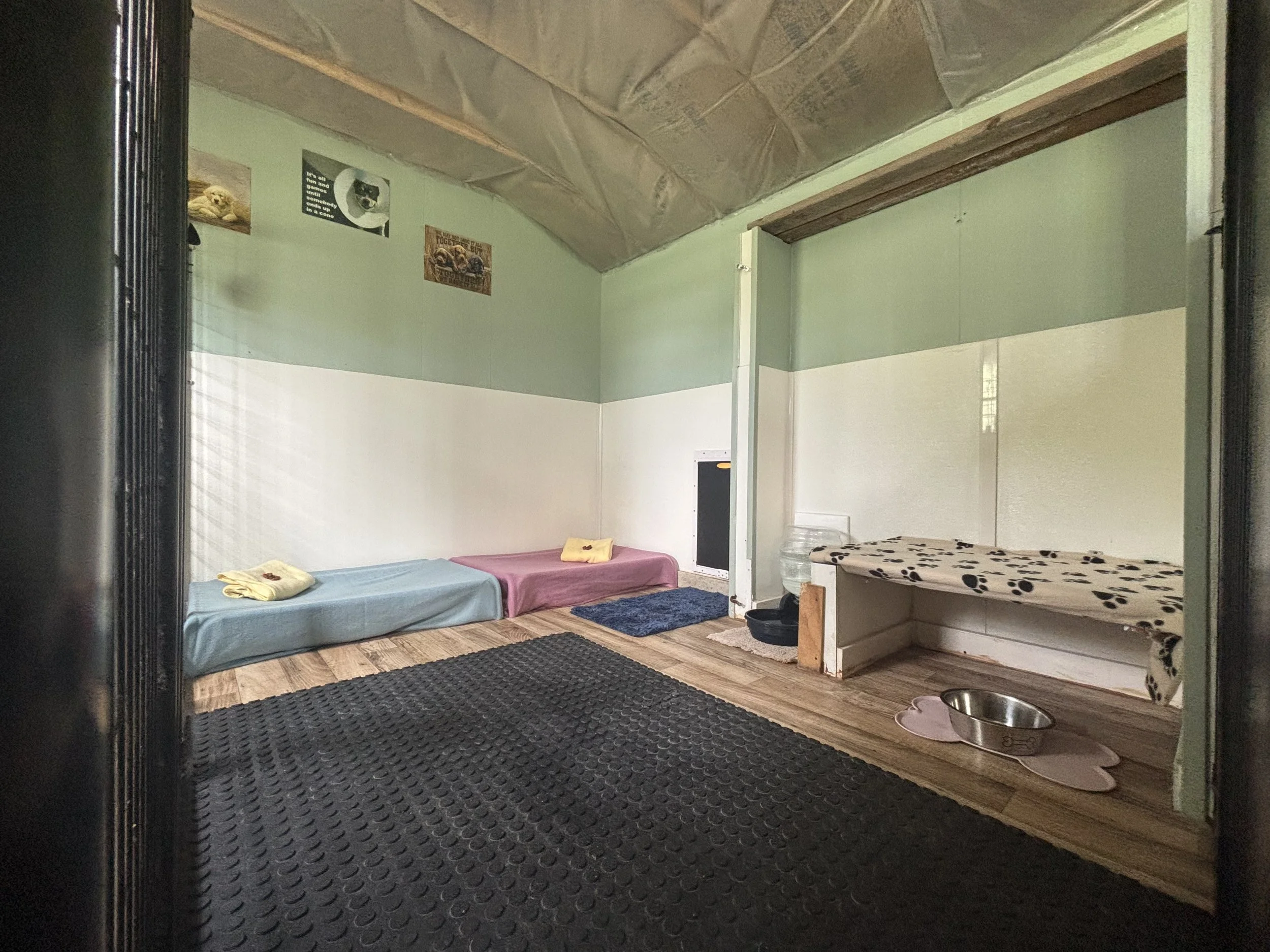 Spacious private indoor boarding room at Paws Retreat with comfortable bedding, fresh water and room to relax.