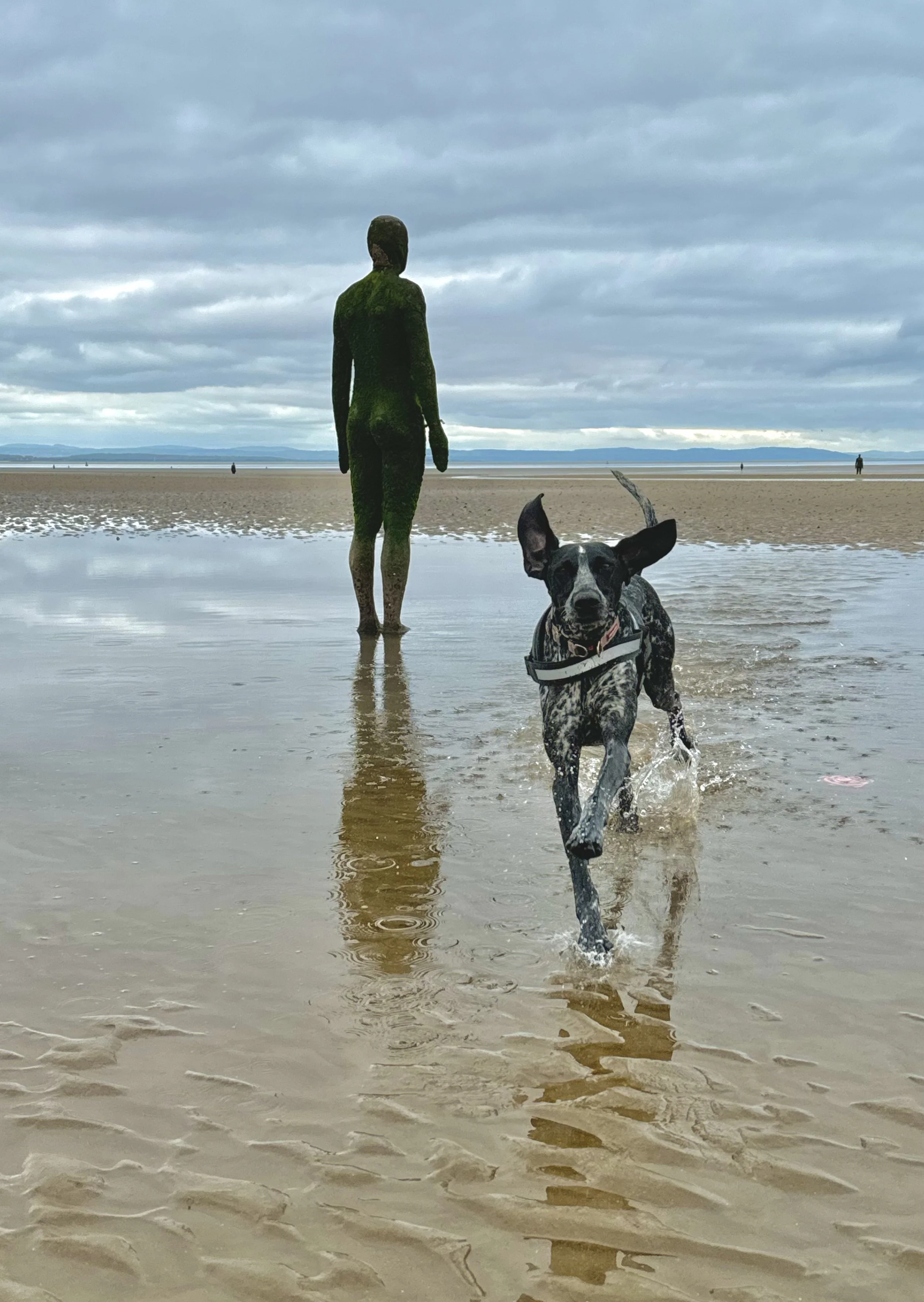 A person with moss-covered skin standing on a beach, looking out toward the ocean, with a dog running through shallow water in the foreground, under a cloudy sky.