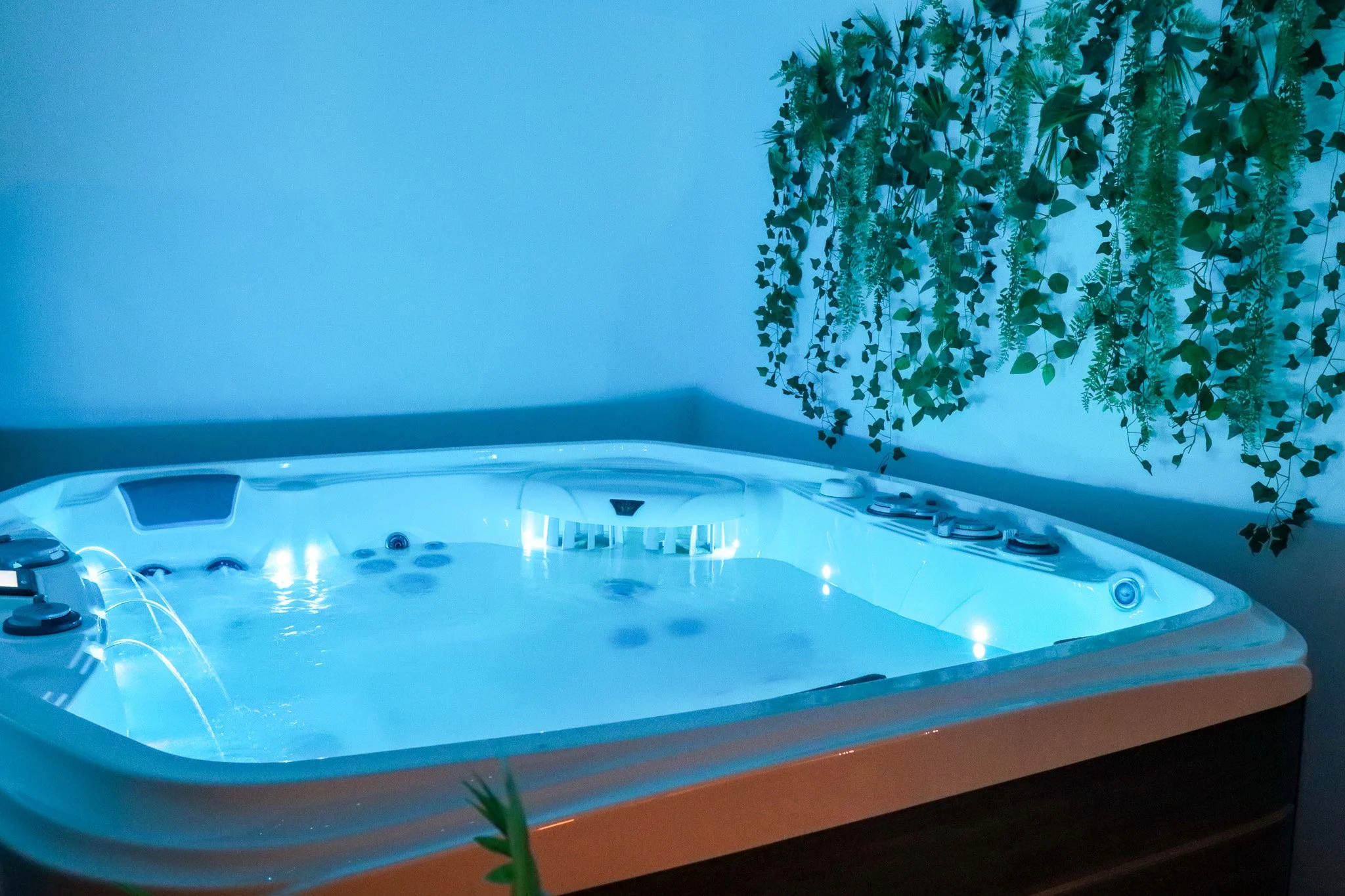 Un jacuzzi avec des jets d'eau en intérieur, éclairé par une lumière bleue, avec des plantes suspendues au plafond.