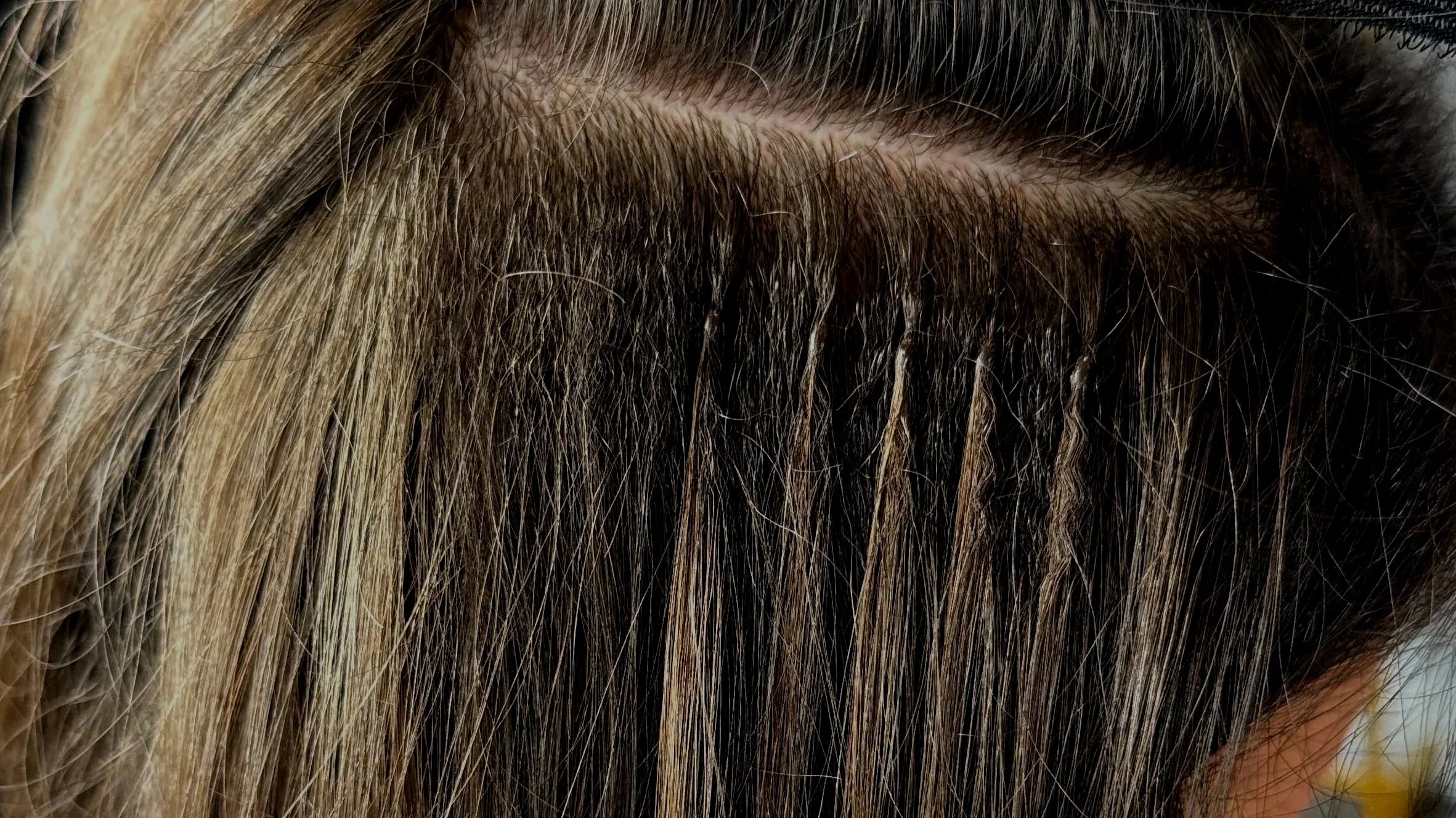 Close-up of a person's light brown hair with blonde highlights.