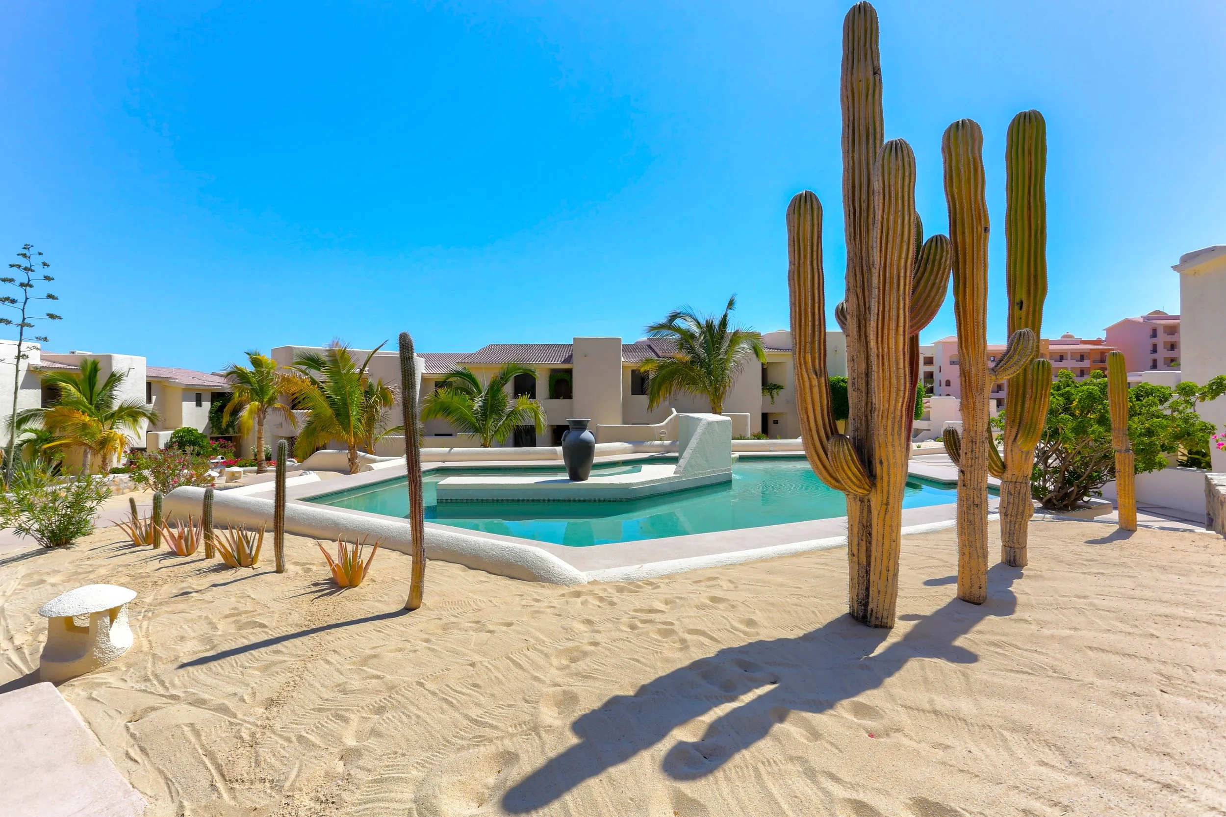 A resort swimming pool area with desert plants and tall cacti, surrounded by white buildings under a clear blue sky.
