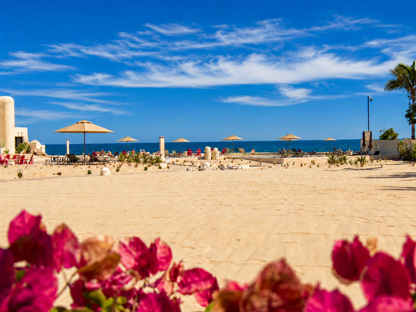 A sandy beach with lounge chairs, umbrellas, and tropical plants overlooking the ocean under a blue sky with wispy clouds.