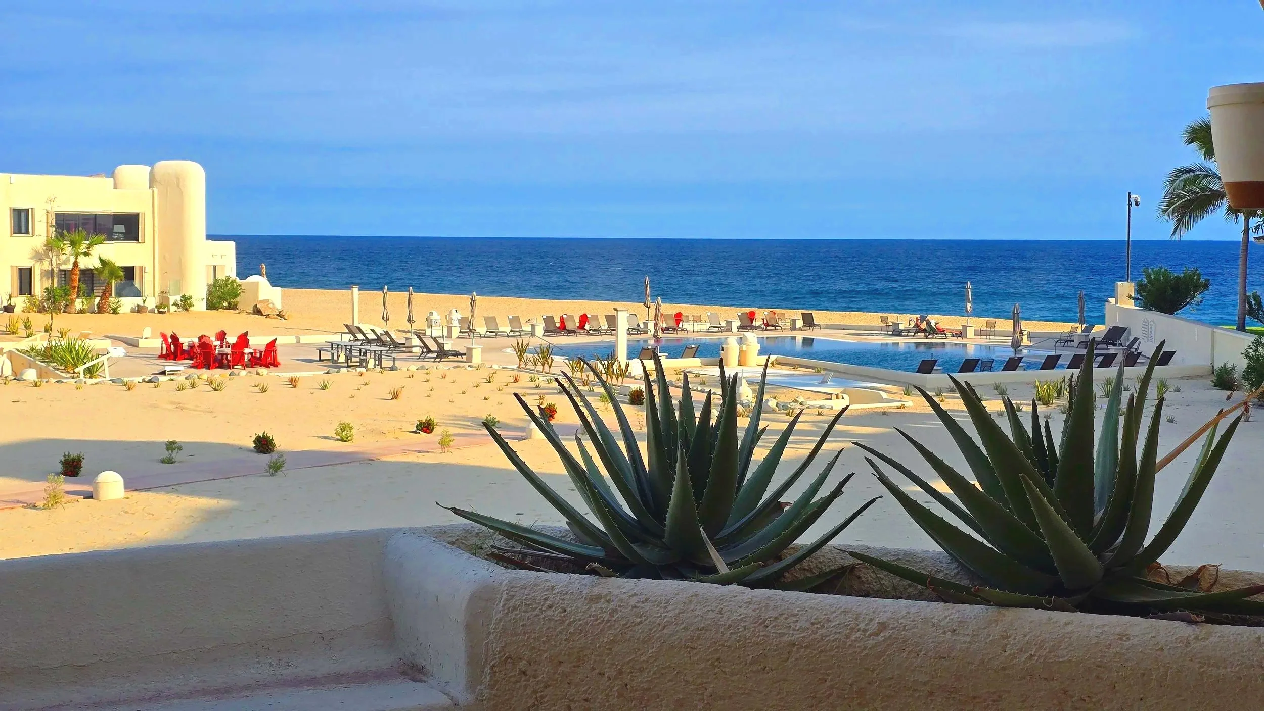 A beachside resort with a swimming pool, lounge chairs, and palm trees, overlooking the ocean on a clear day.