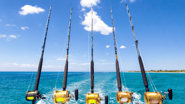 Fishing Tournaments in Cabo San Lucas, Mexico