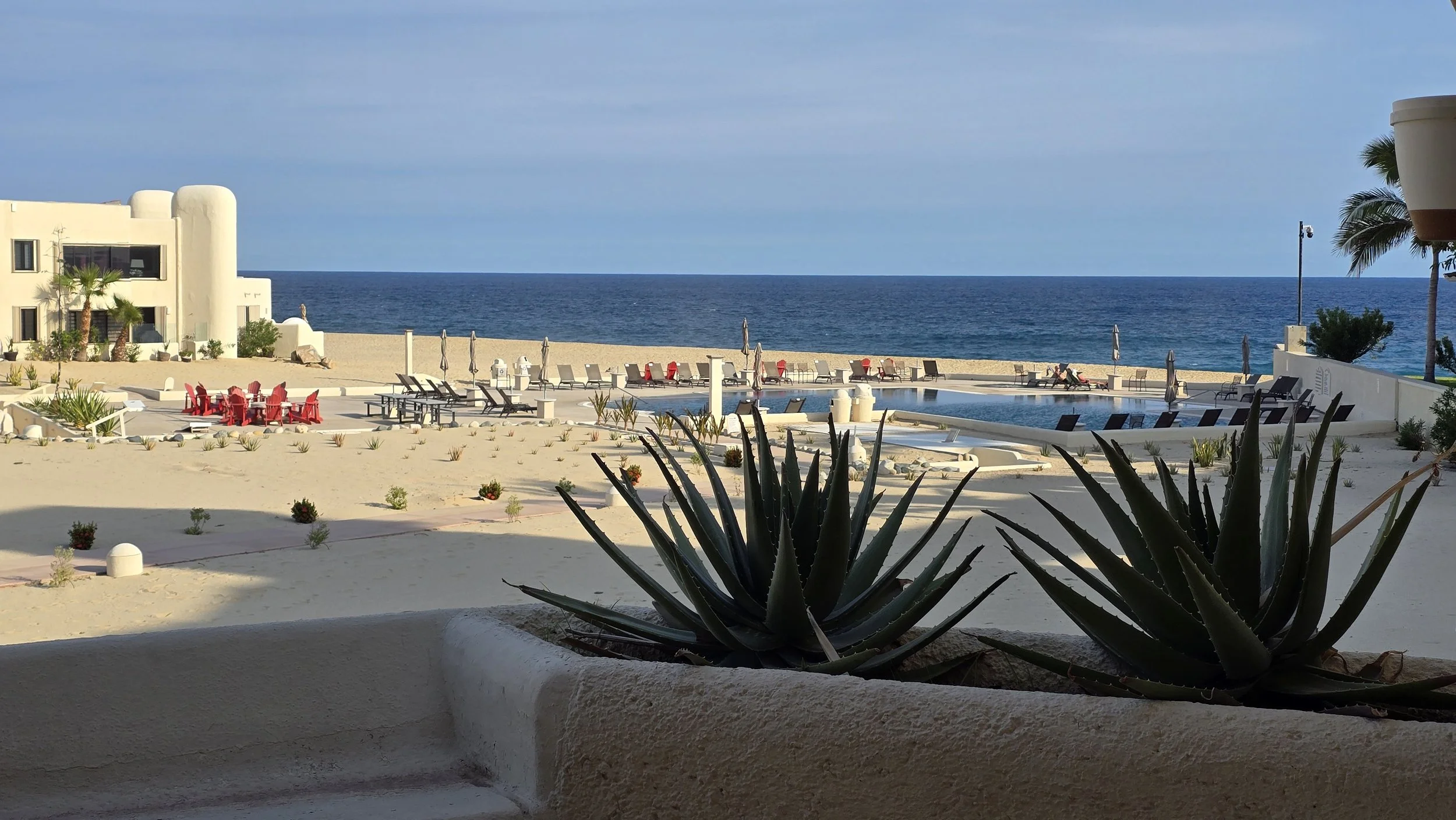 View of a beachside resort with a swimming pool, lounge chairs, and umbrellas overlooking the ocean, with a building and palm trees in the background.