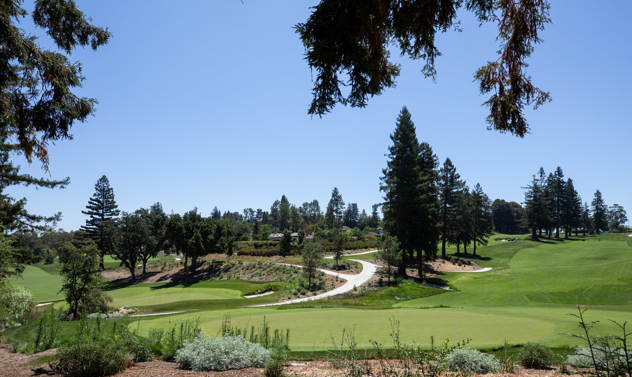 A view of a lush green golf course surrounded by tall trees and a clear blue sky.