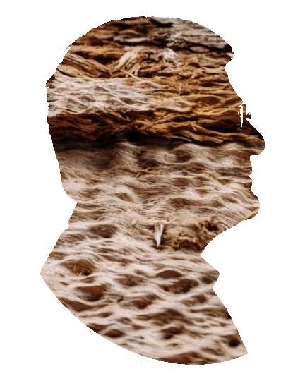 Profile silhouette of a person's head with a desert landscape, including sand dunes and rocks, inside the silhouette.