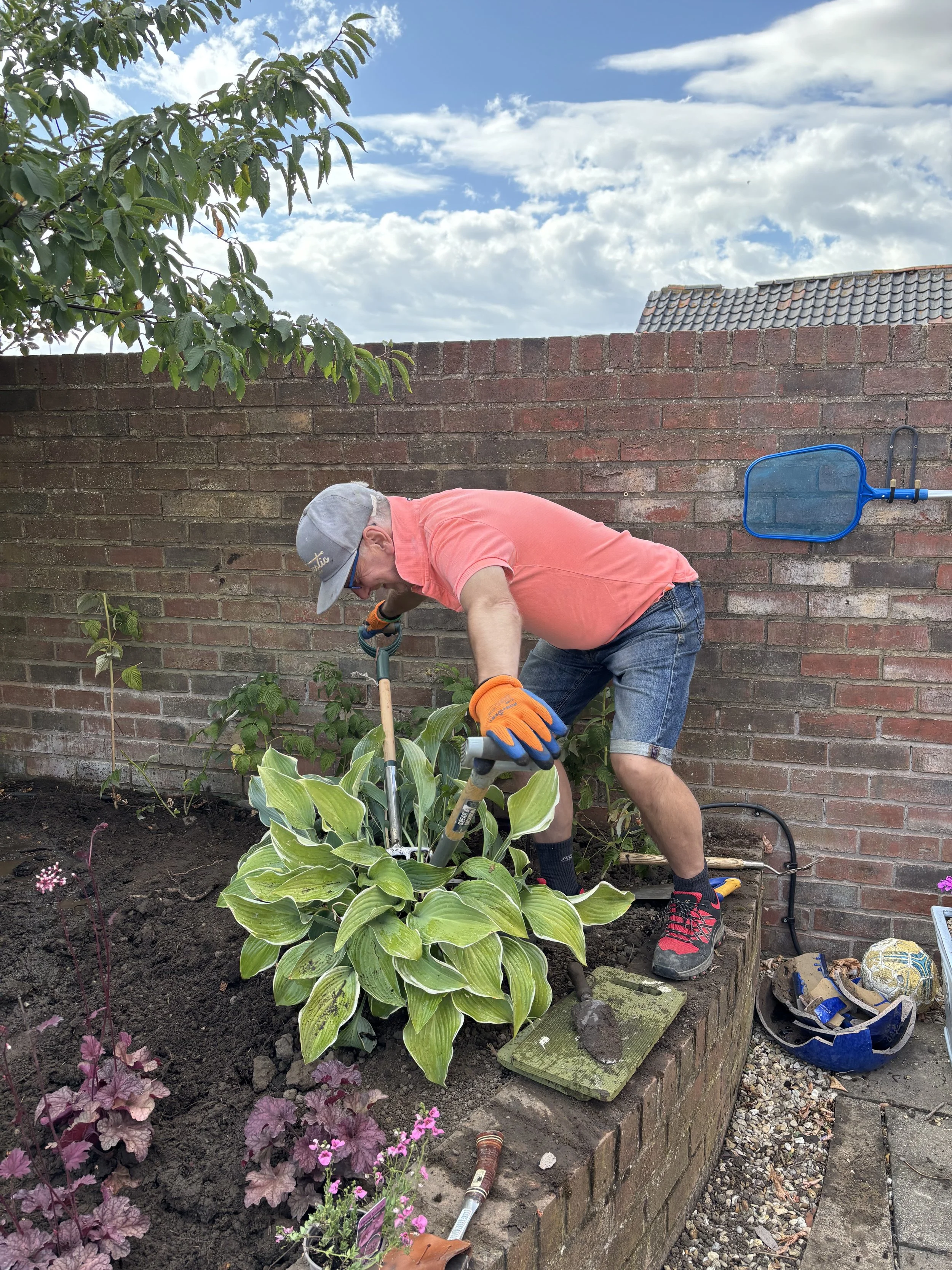Man gardening with a trowel in a garden bed containing green plants, against a brick wall and a blue sky with clouds.