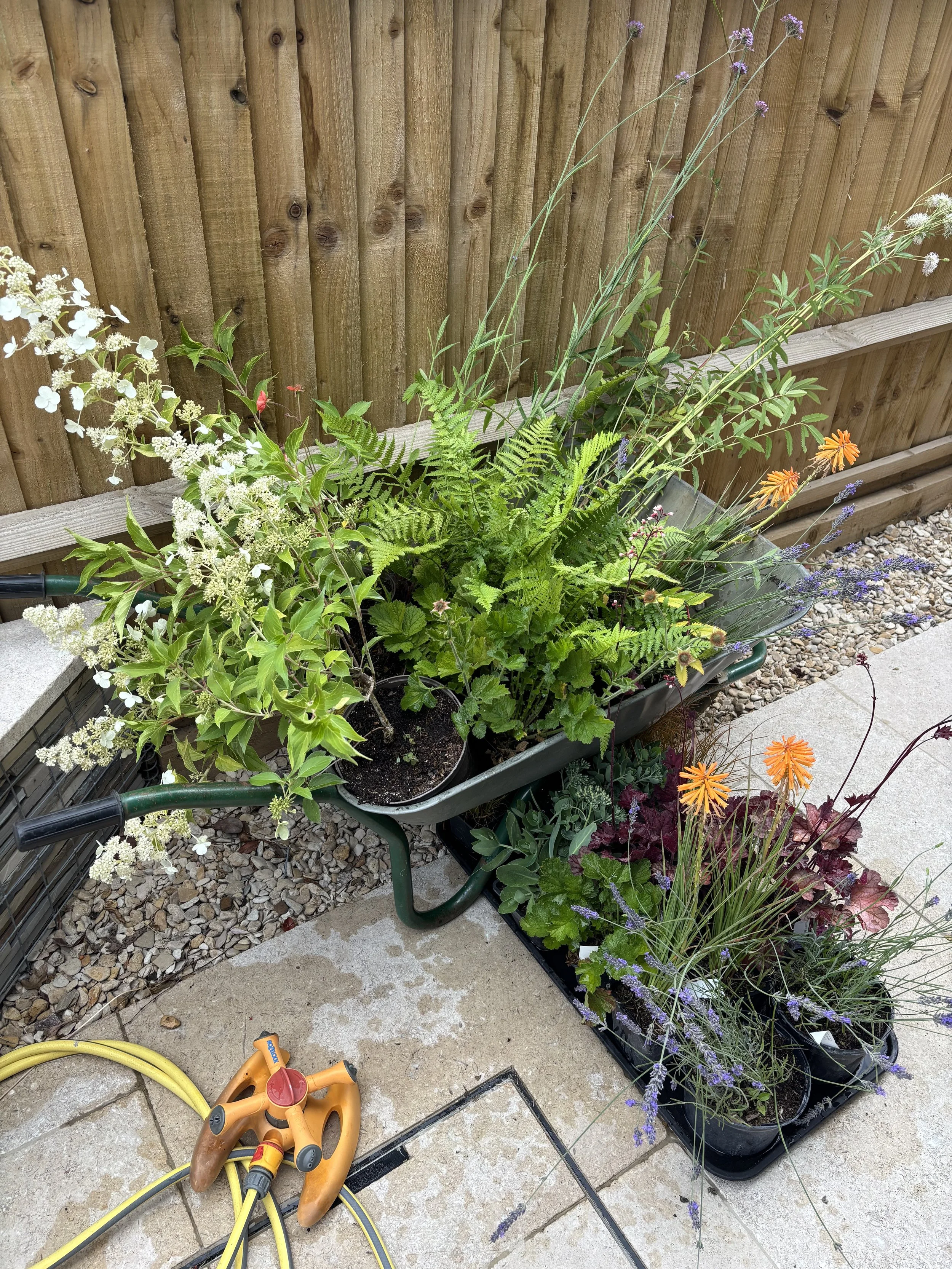 A wheelbarrow filled with various potted plants and flowers, placed on a stone-paved patio near a wooden fence. Gardening tools and a yellow garden hose are also on the ground.