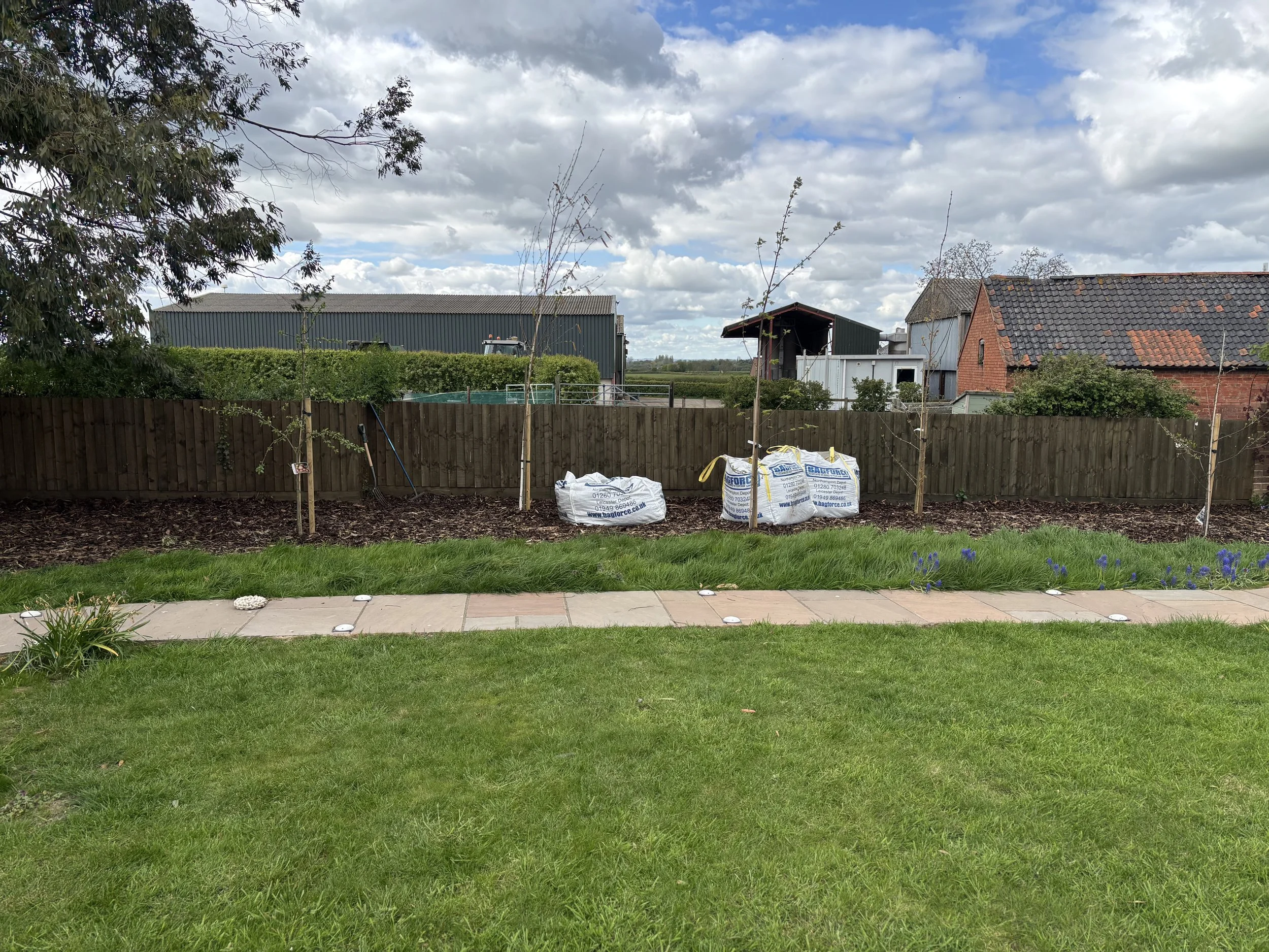 A backyard with green grass, a small tree, and gardening bags in the foreground. Wooden fence, trees, and buildings, including a barn and shed, in the background under a cloudy sky.